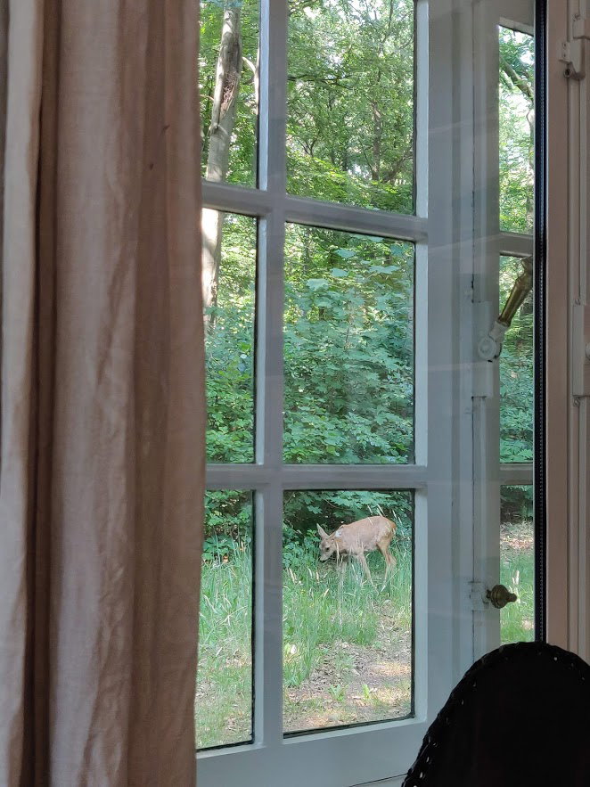 Maison nature à Putte