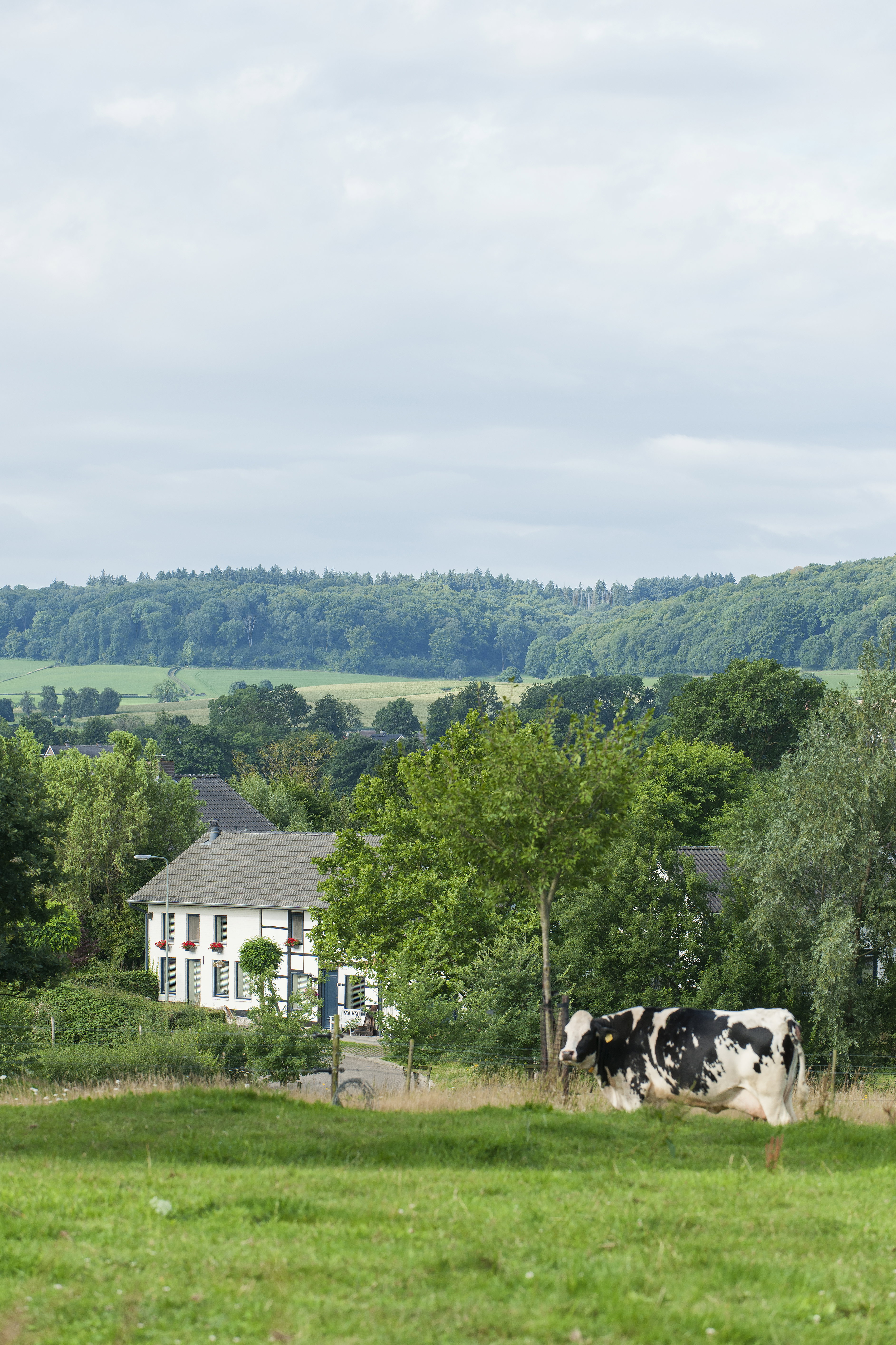 Naturhäuschen in Mechelen
