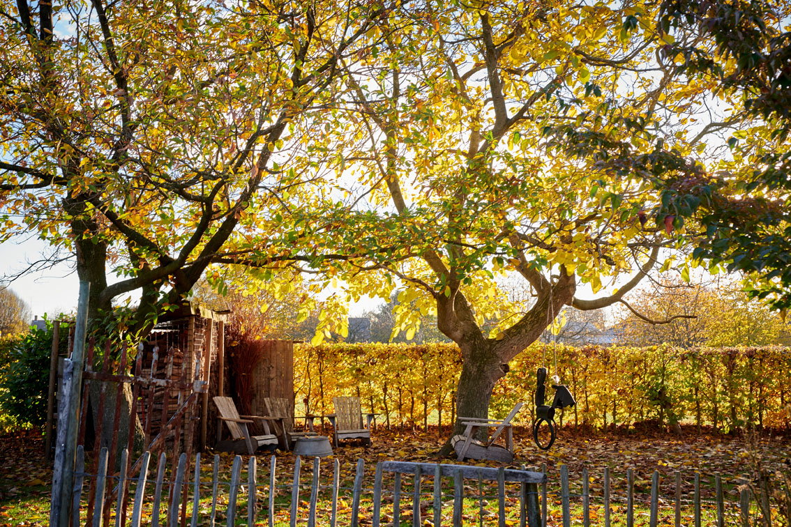 Maison nature à Sevenum