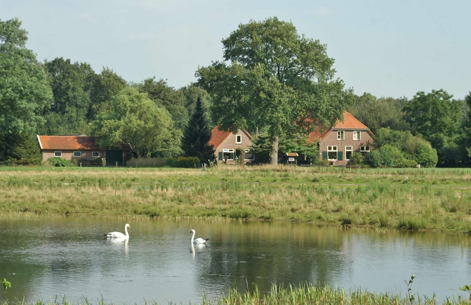 Maison nature à Laren Gld