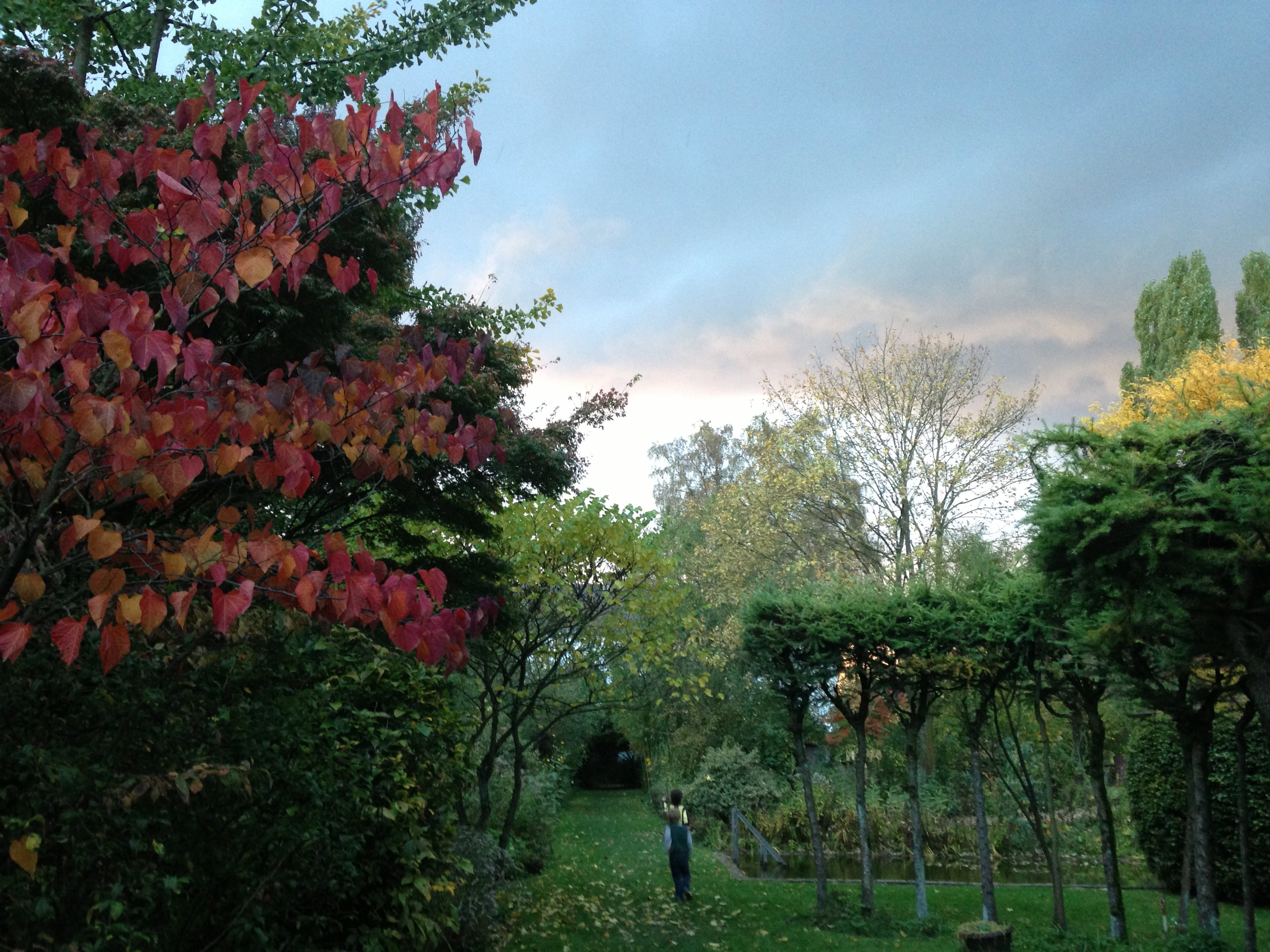 - image: 14