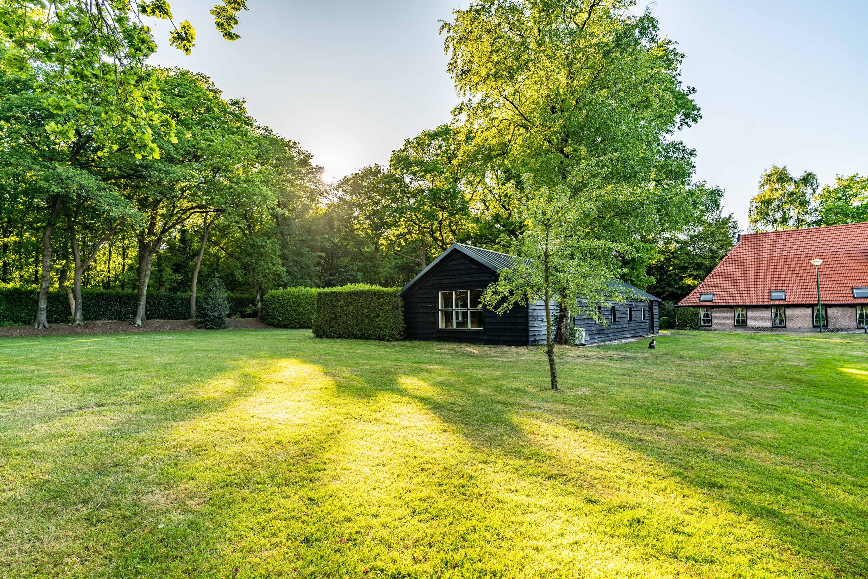 Nature house in Appelscha