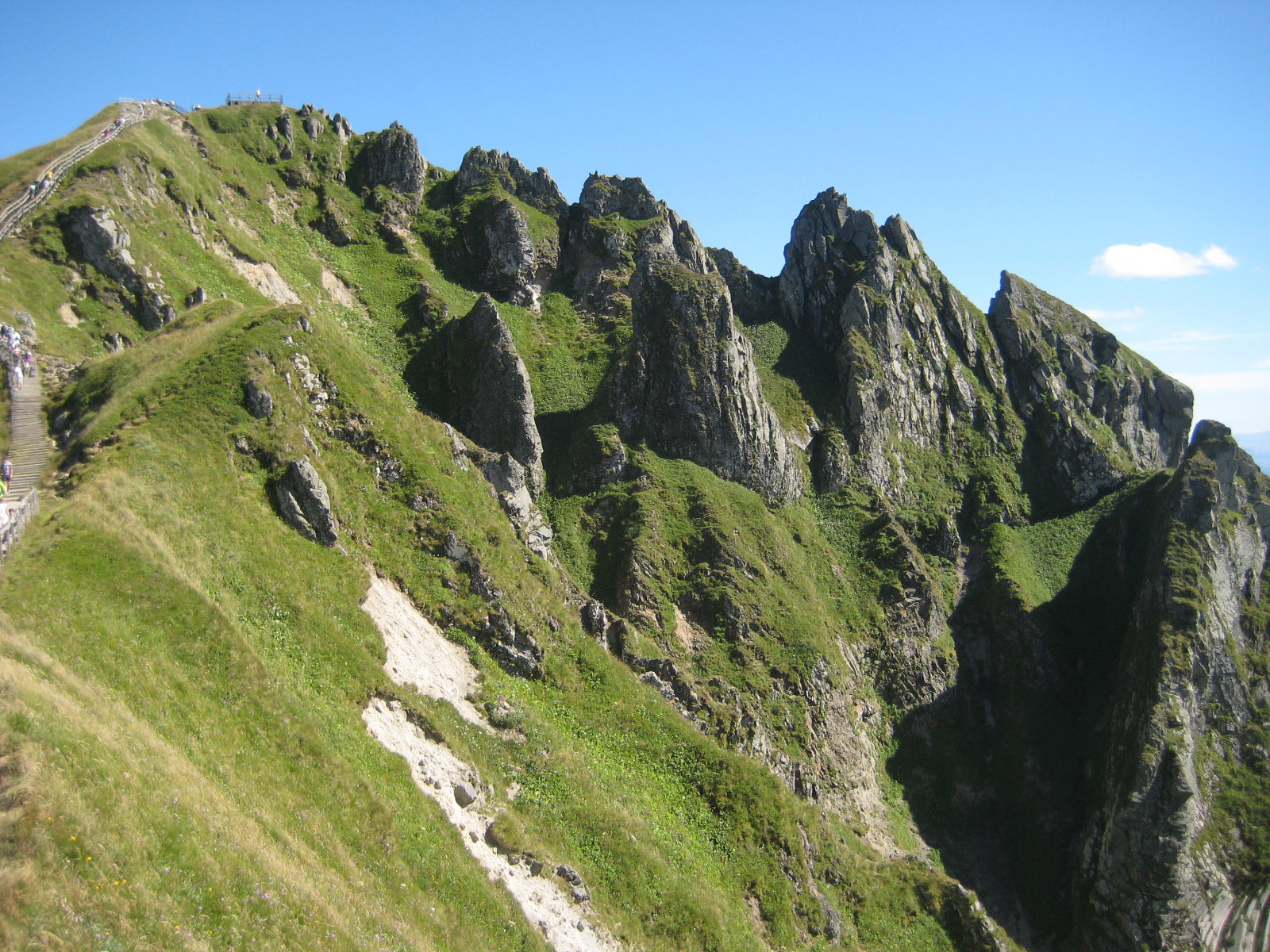 - image: 29