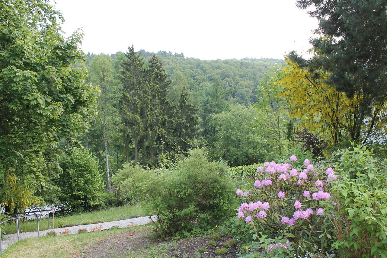 - image: 24
