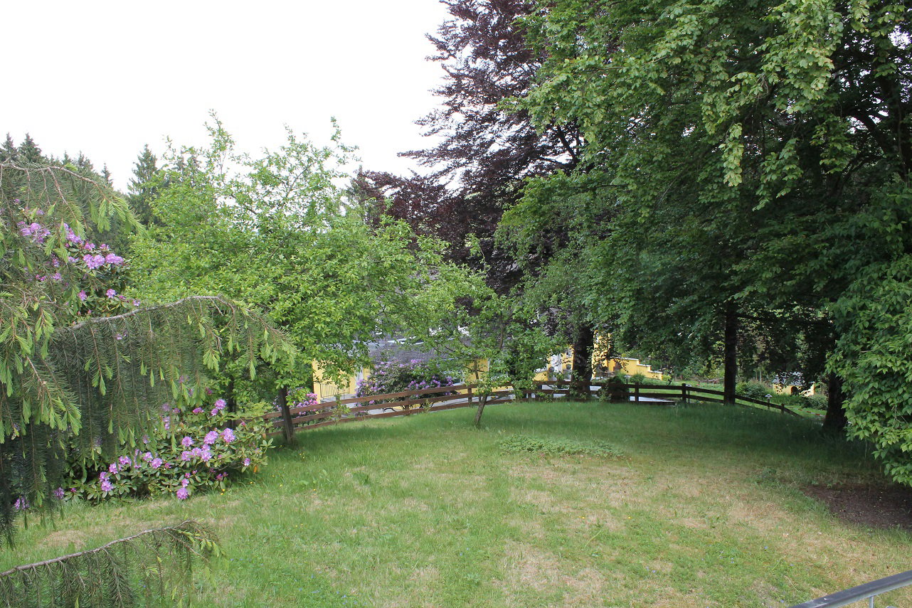 - image: 25
