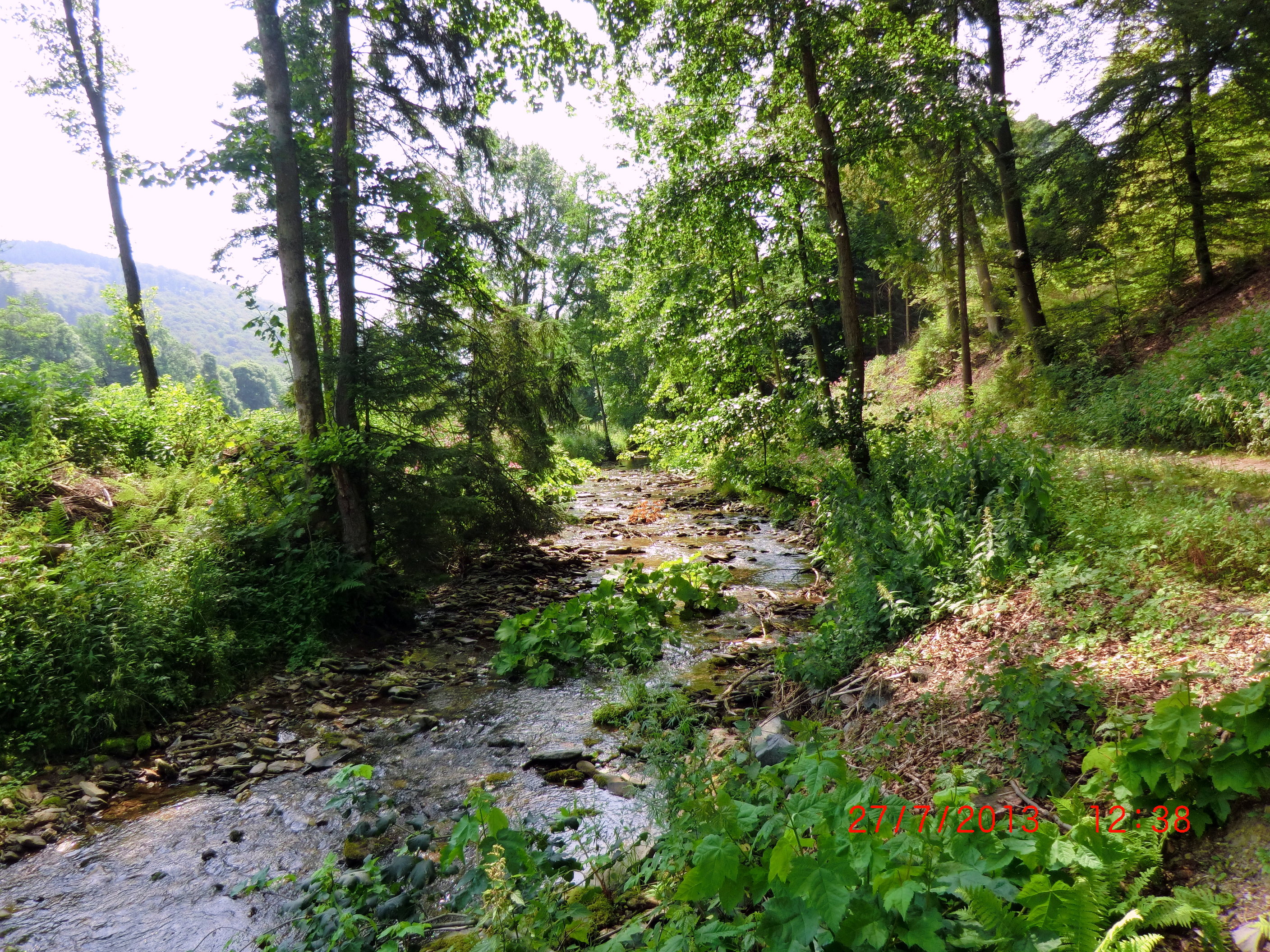 Maison nature à Elpe