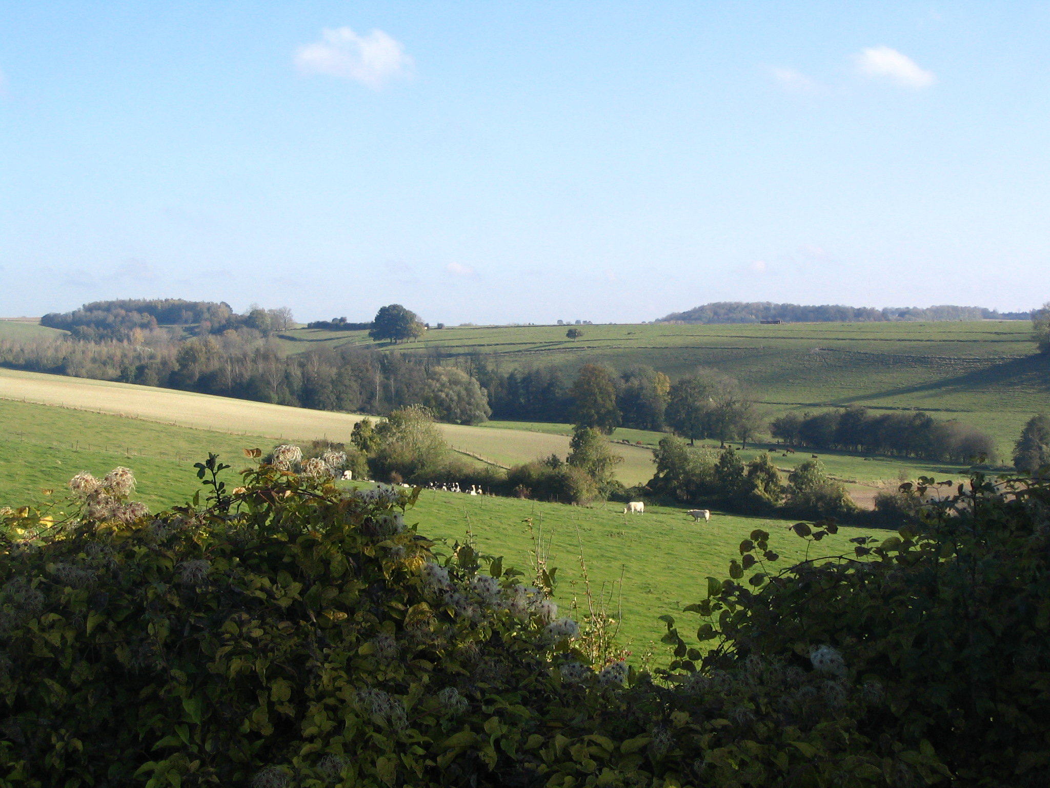 Natuurhuisje in Logny-les-Chaumont