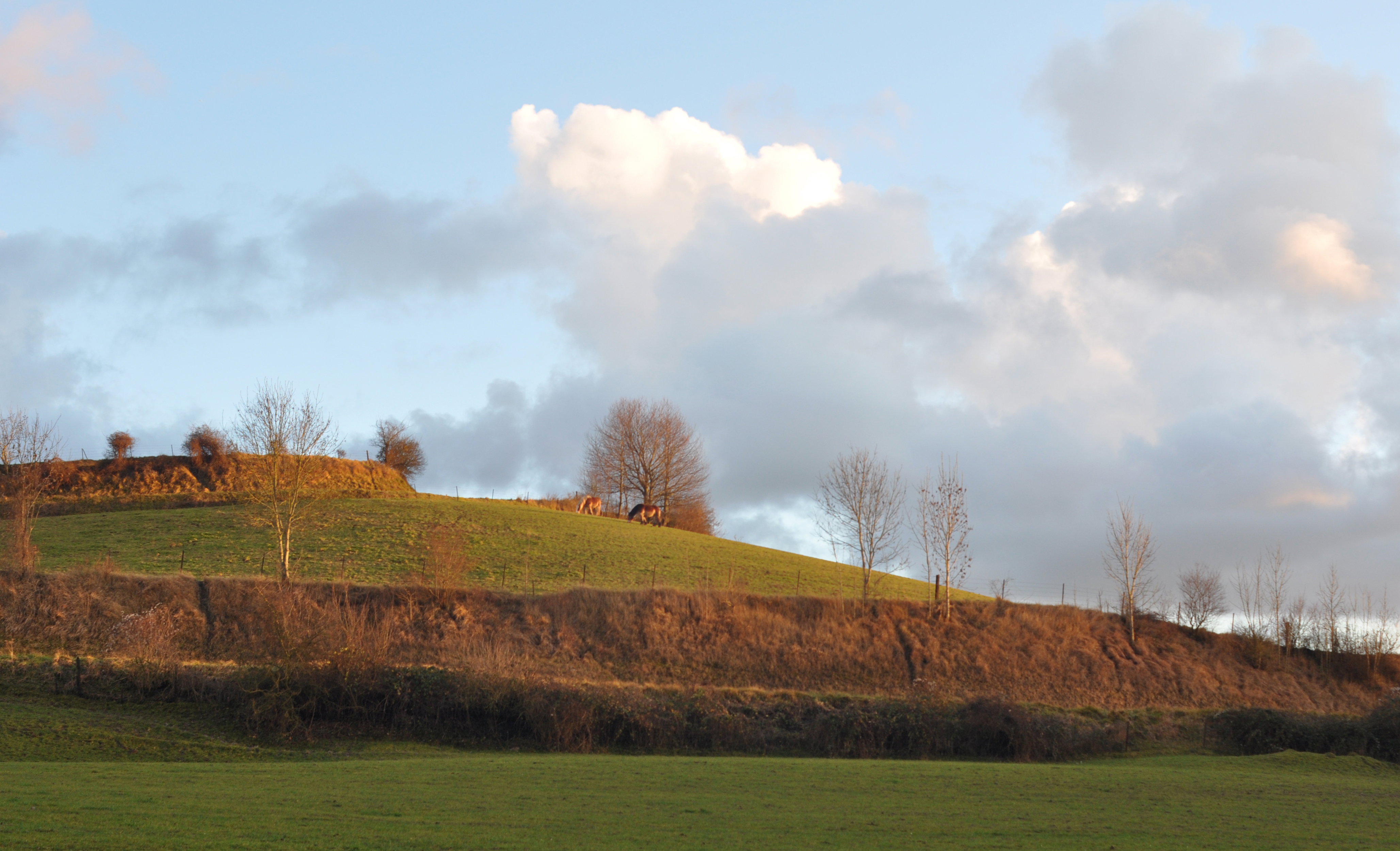 Natuurhuisje in Logny-les-Chaumont