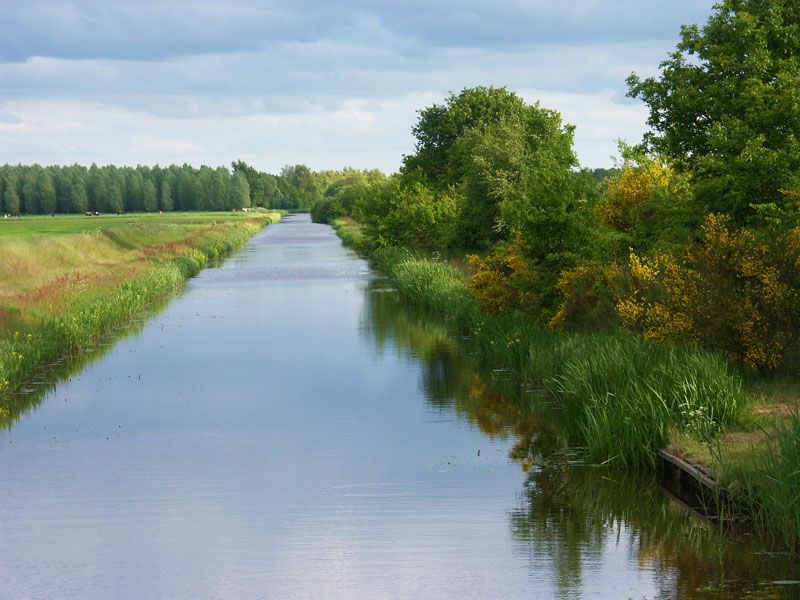 - image: 21