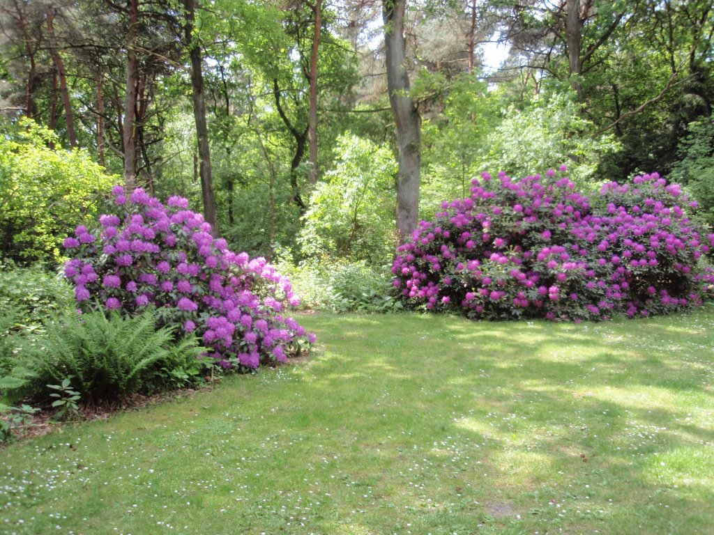 Maison nature à Harfsen