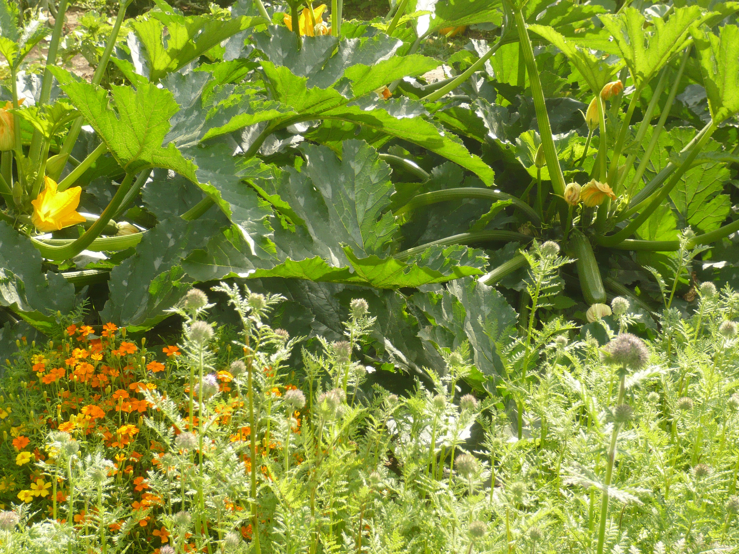 Nature house in Flobecq