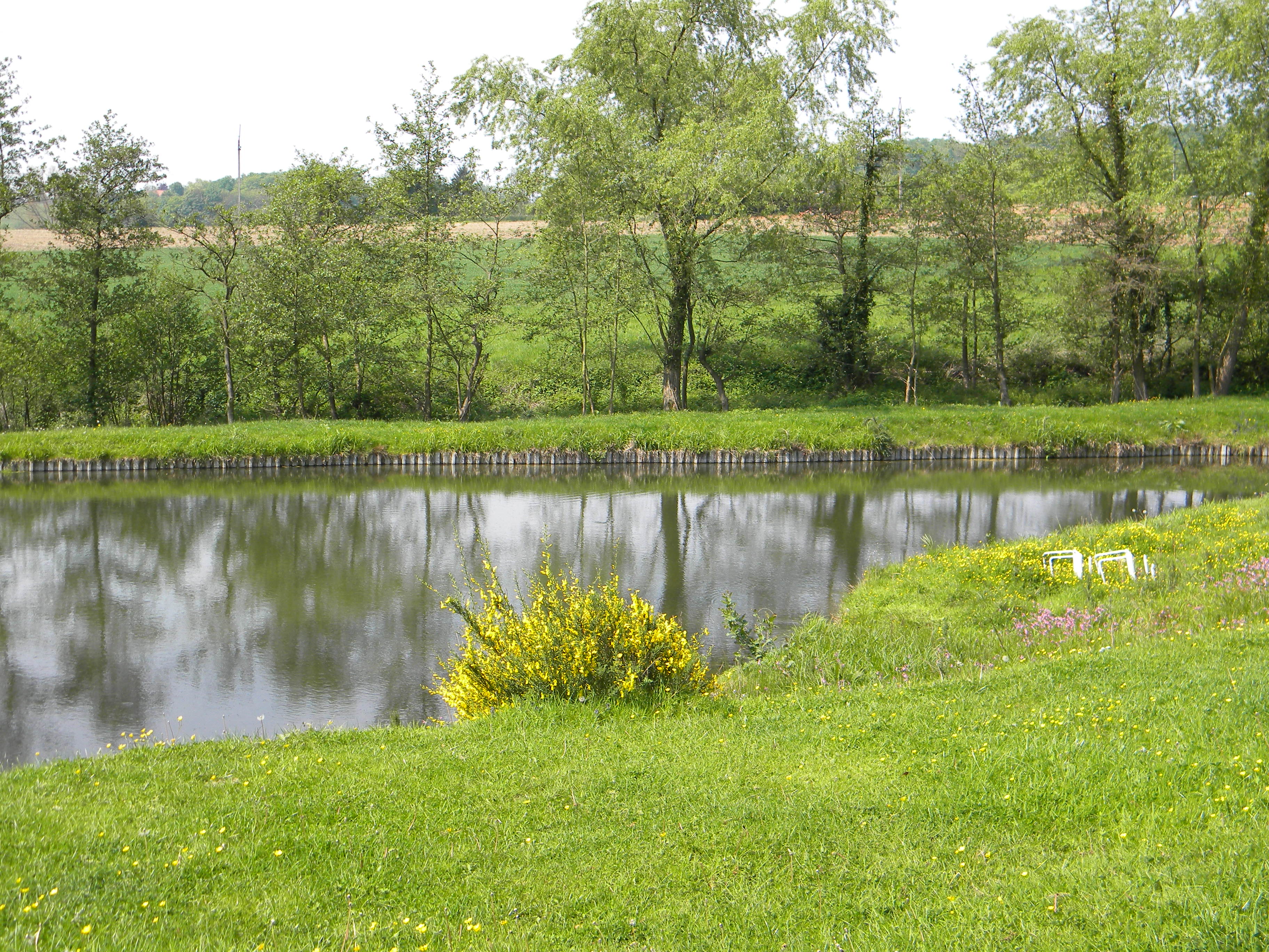 - image: 26