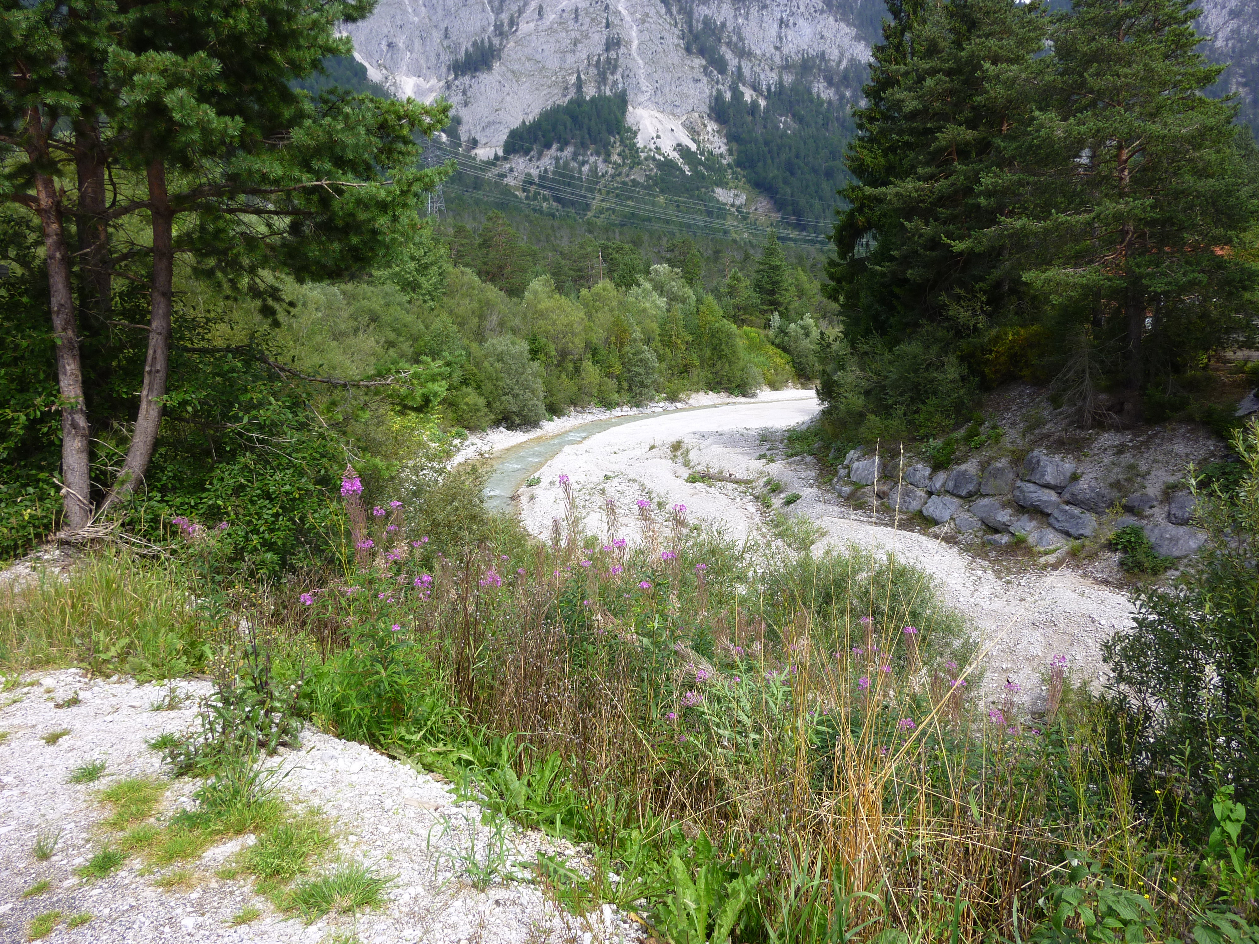 - image: 24