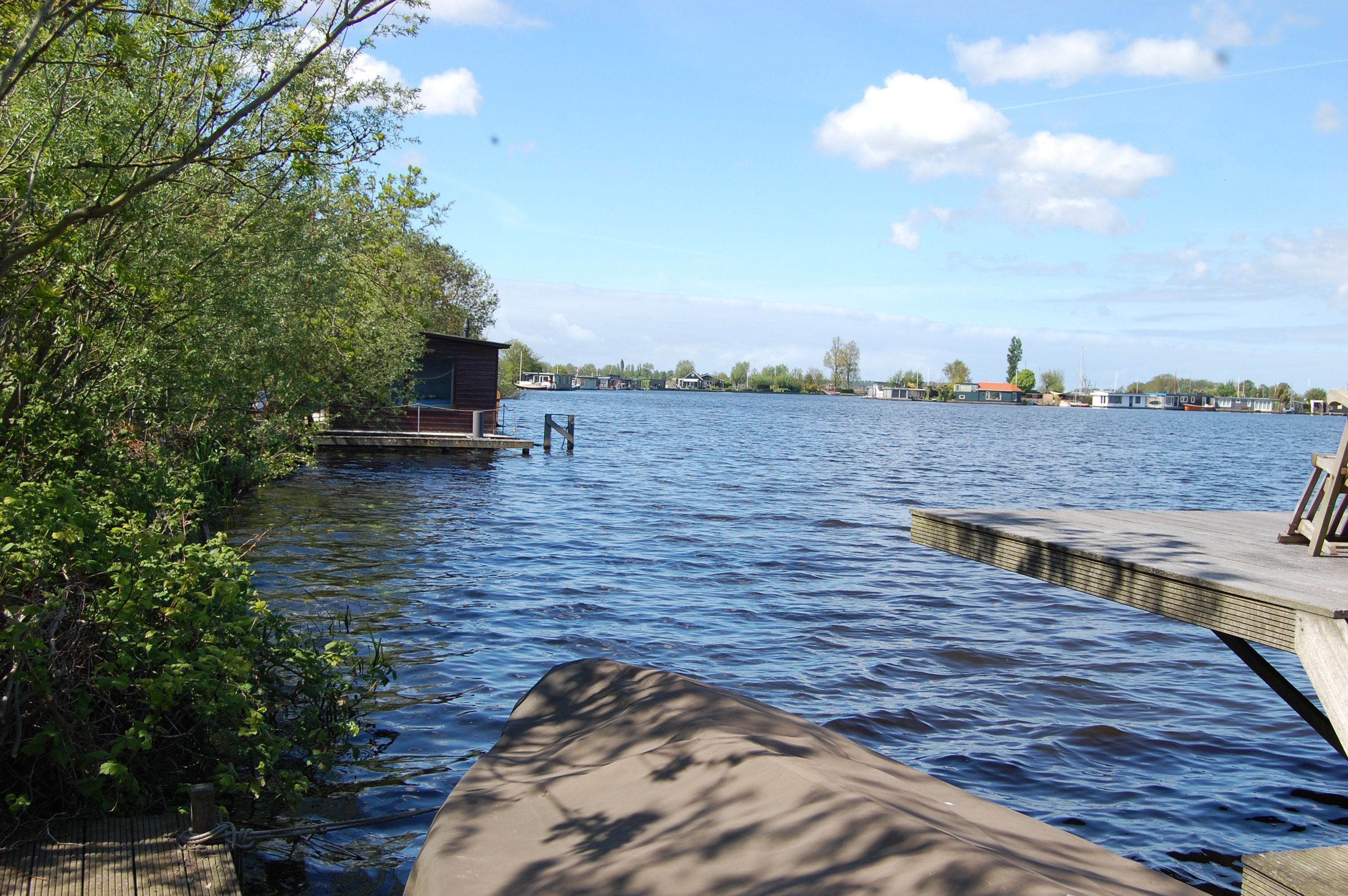 - image: 1