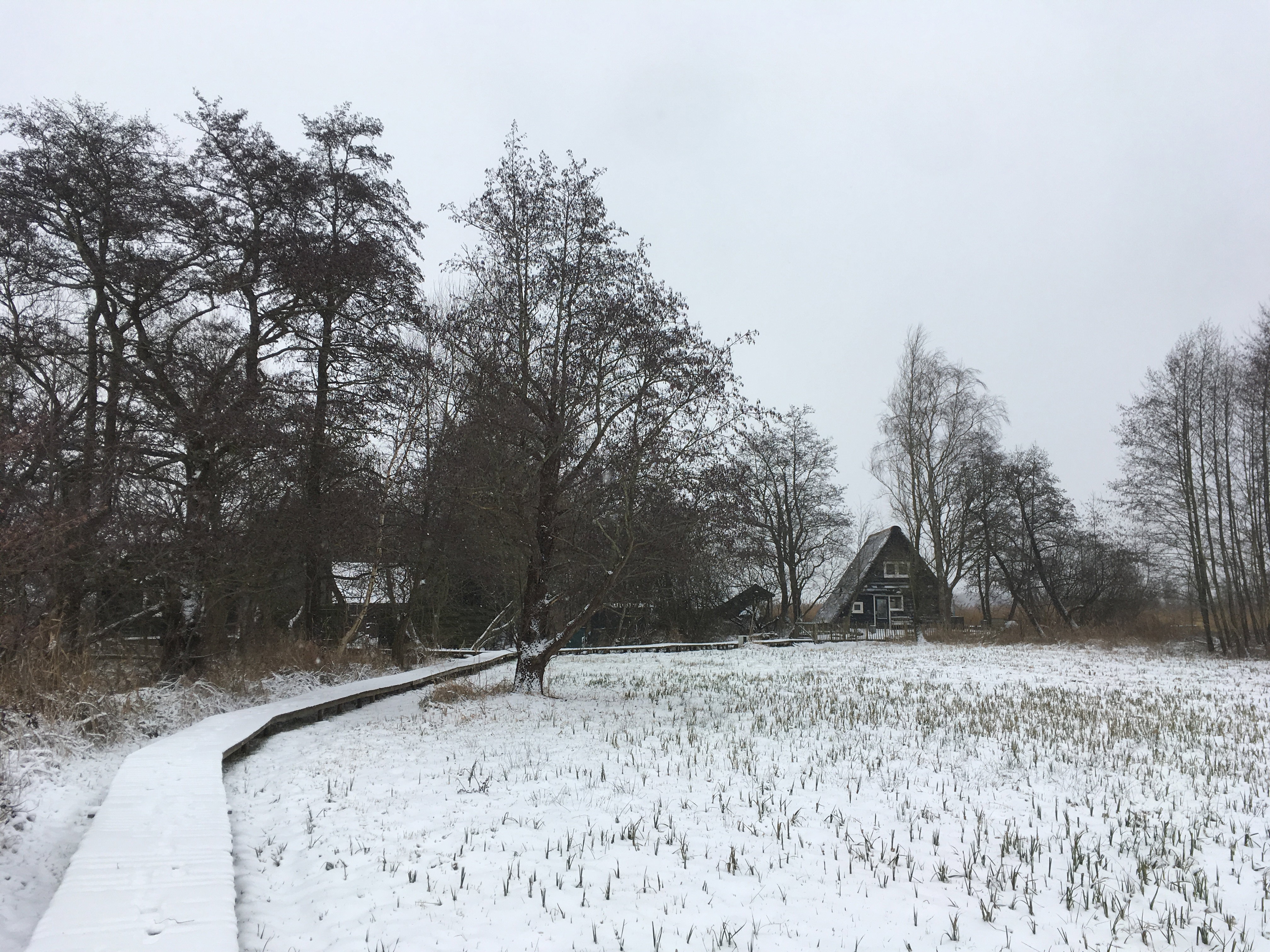 Casa nella natura a Giethoorn