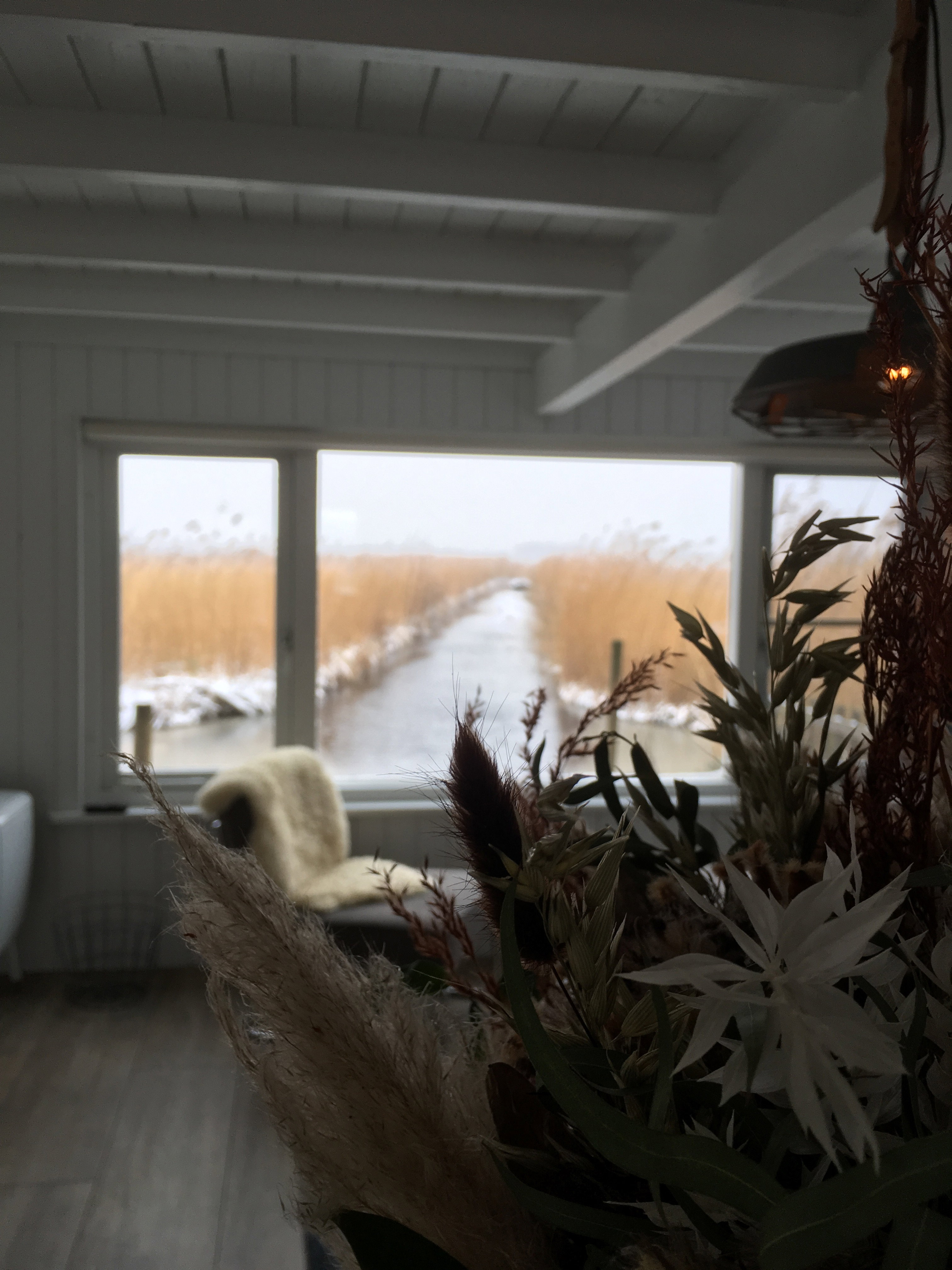 Casa nella natura a Giethoorn