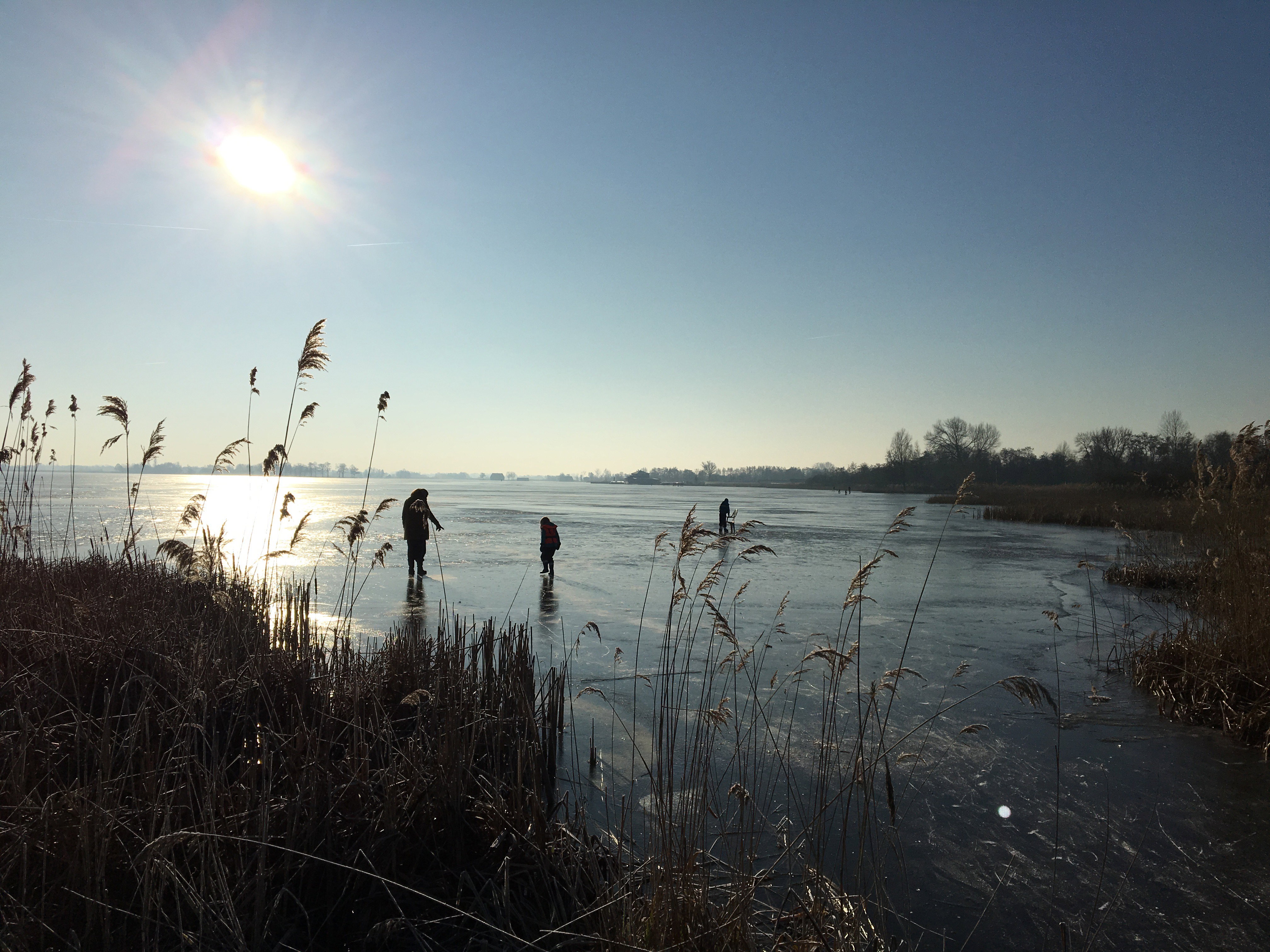 Nature house in Giethoorn