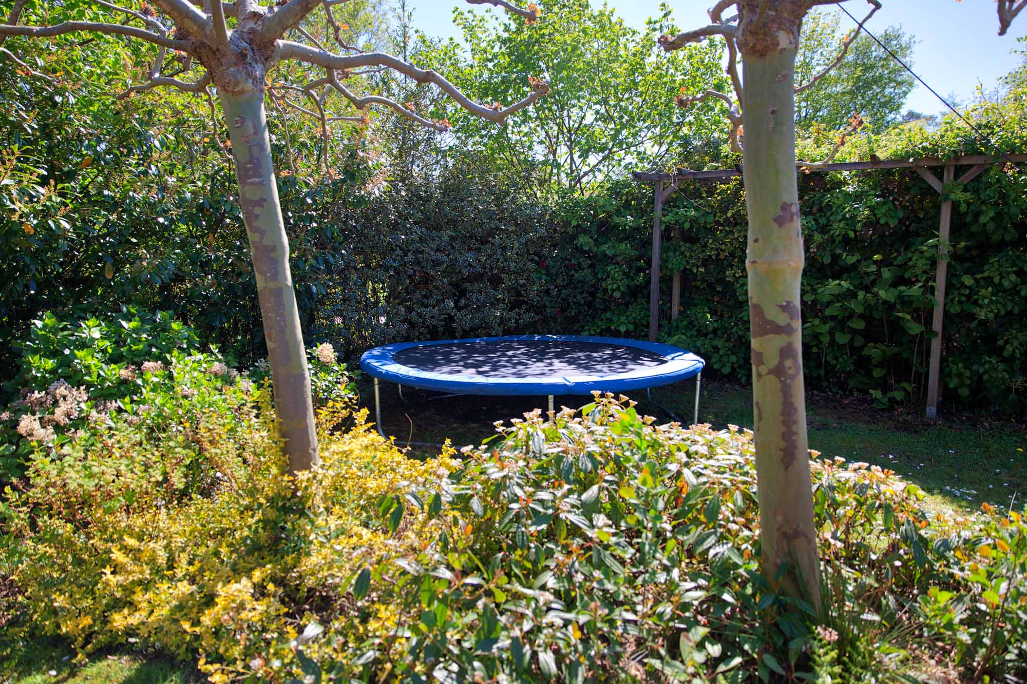 Natuurhuisje in Haren