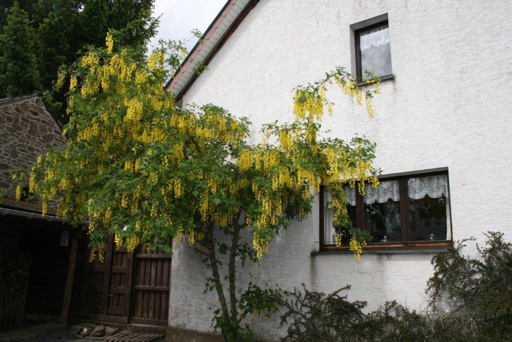Casa nella natura a ..Buisson