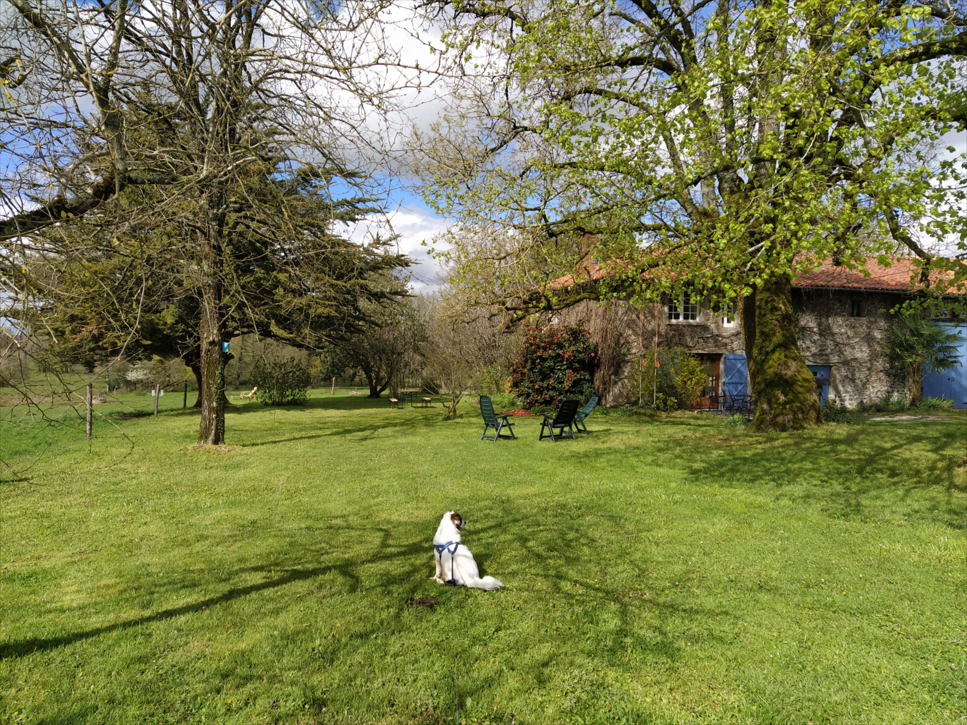 Natuurhuisje in Verneuil/La Gélisant