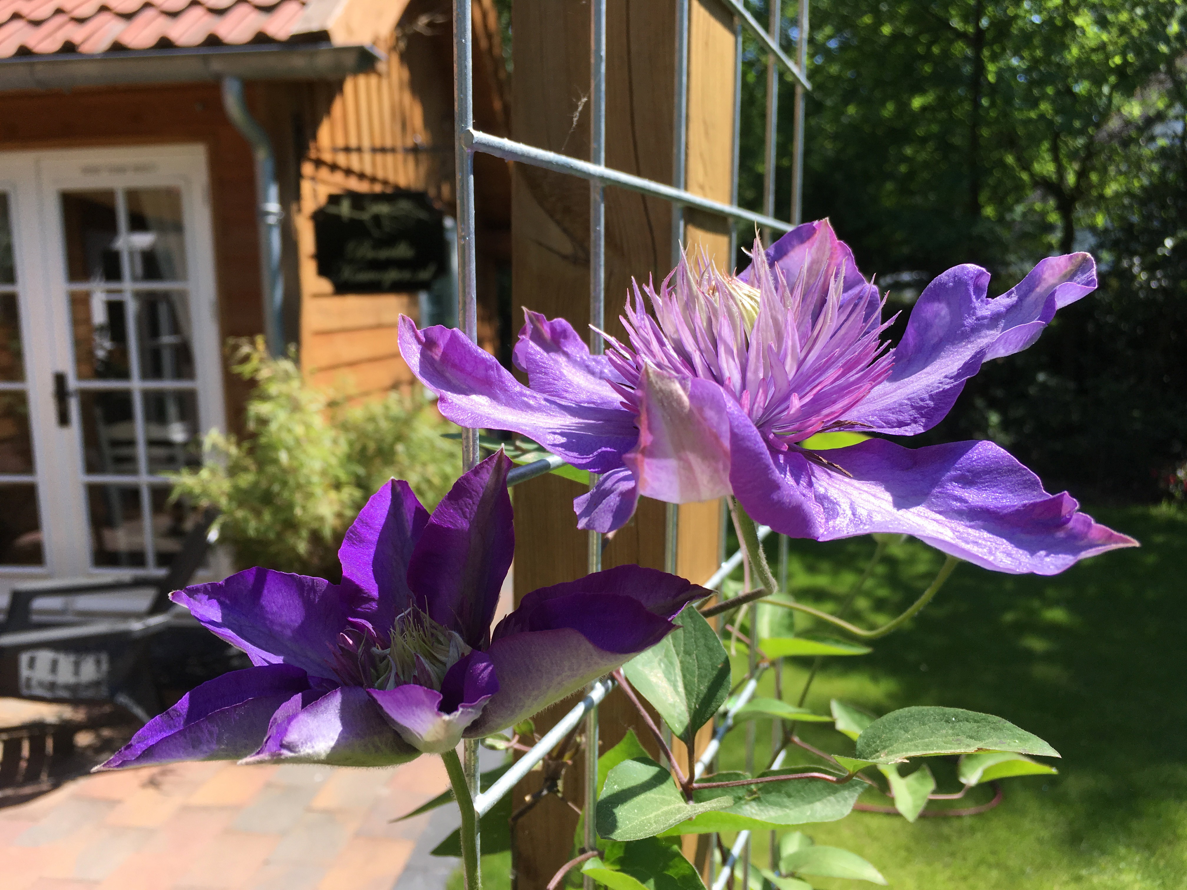 Maison nature à Ermelo