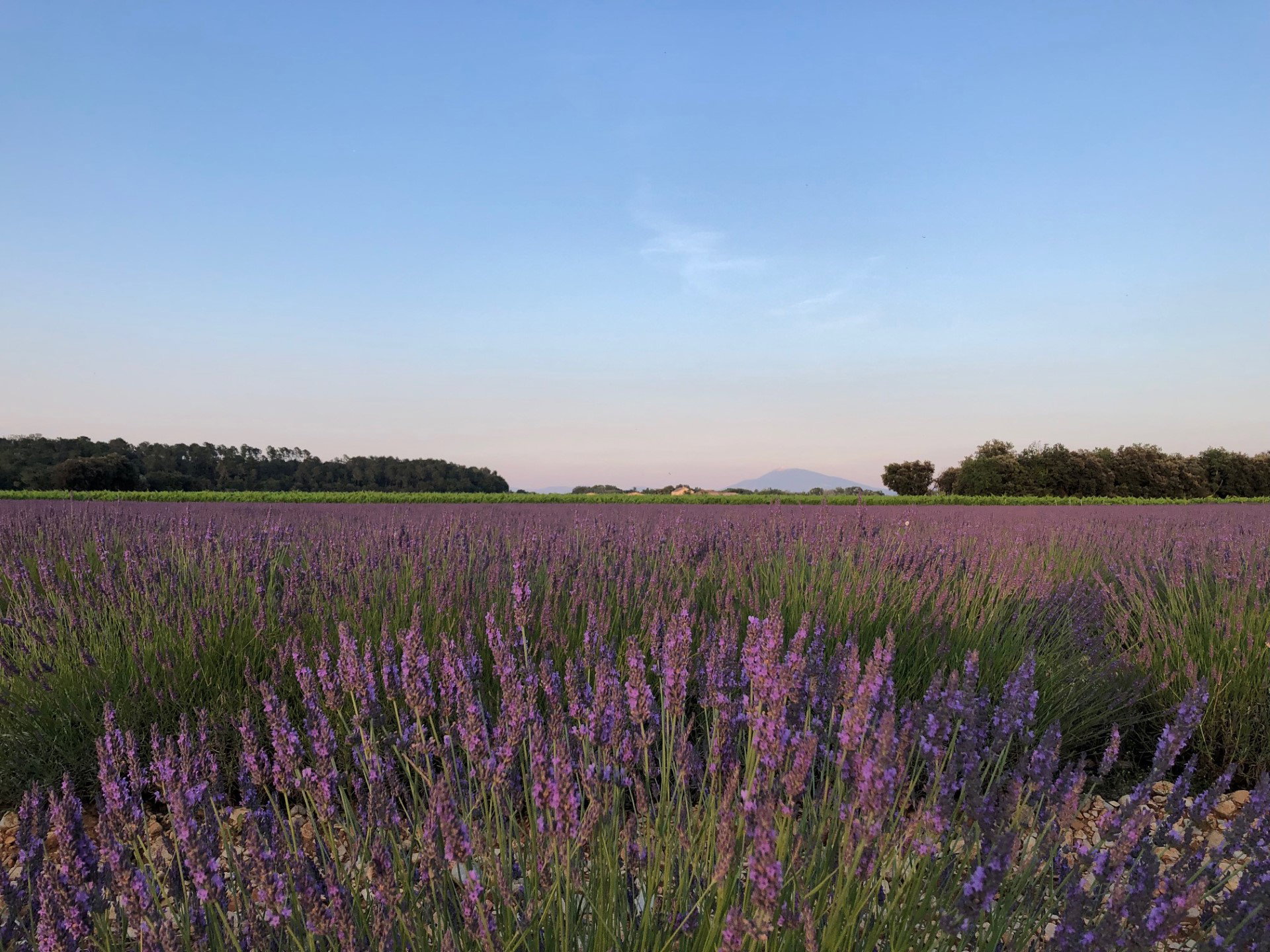 Casa nella natura a Bollène