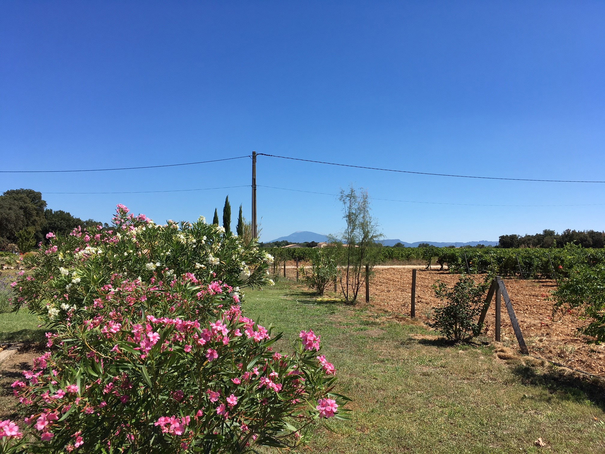 Casa nella natura a Bollène
