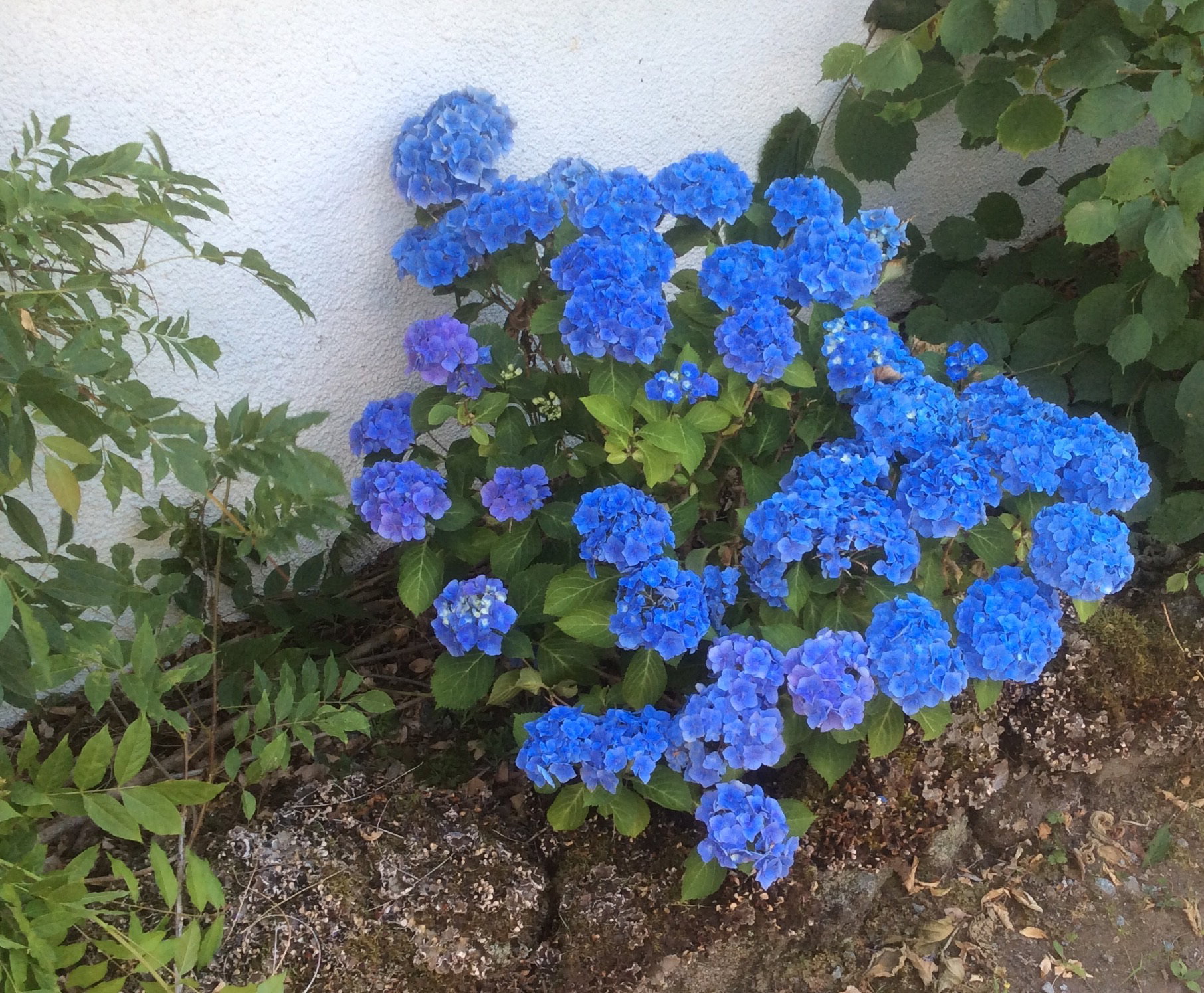 - image: 22