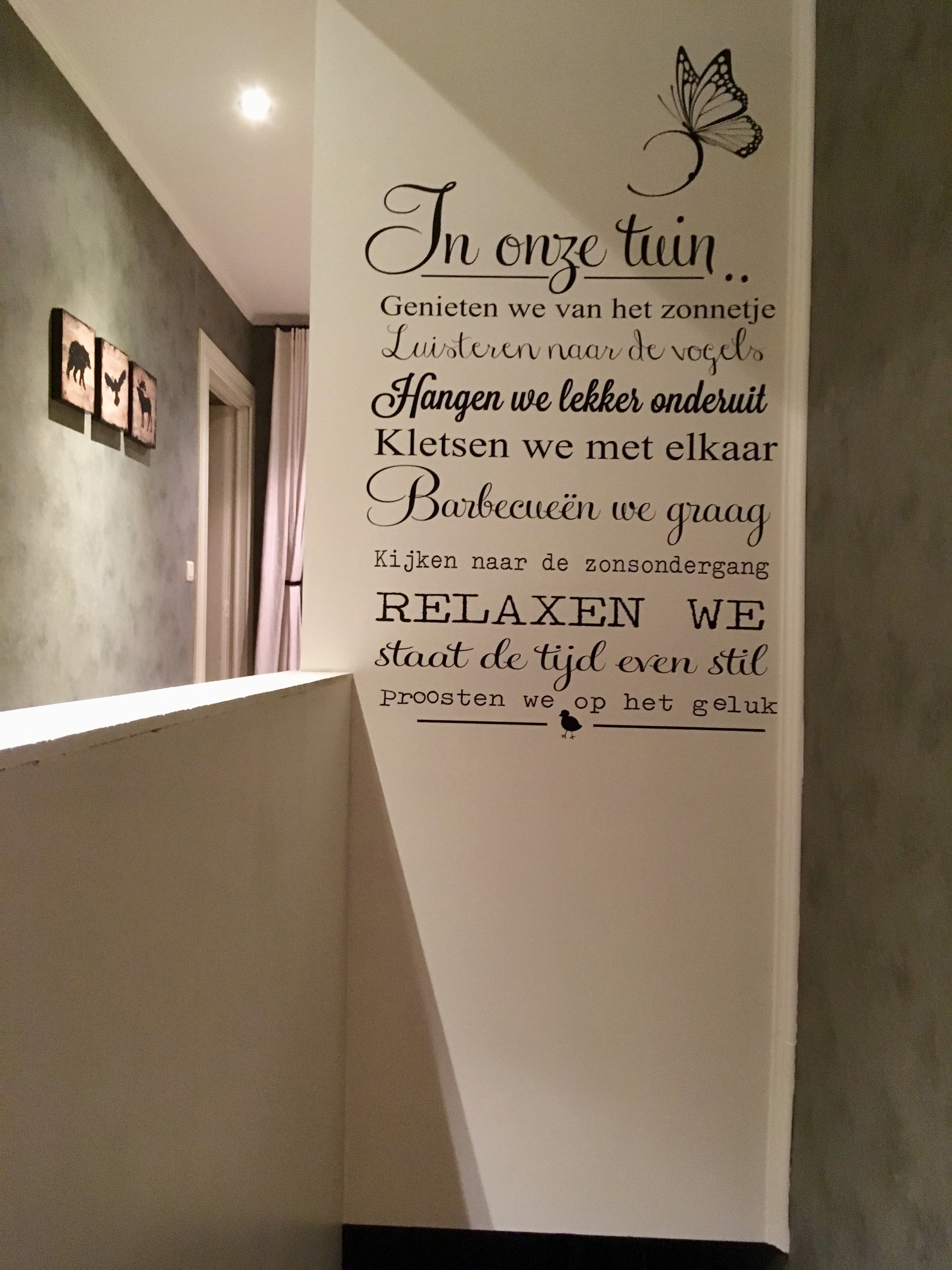 - image: 31