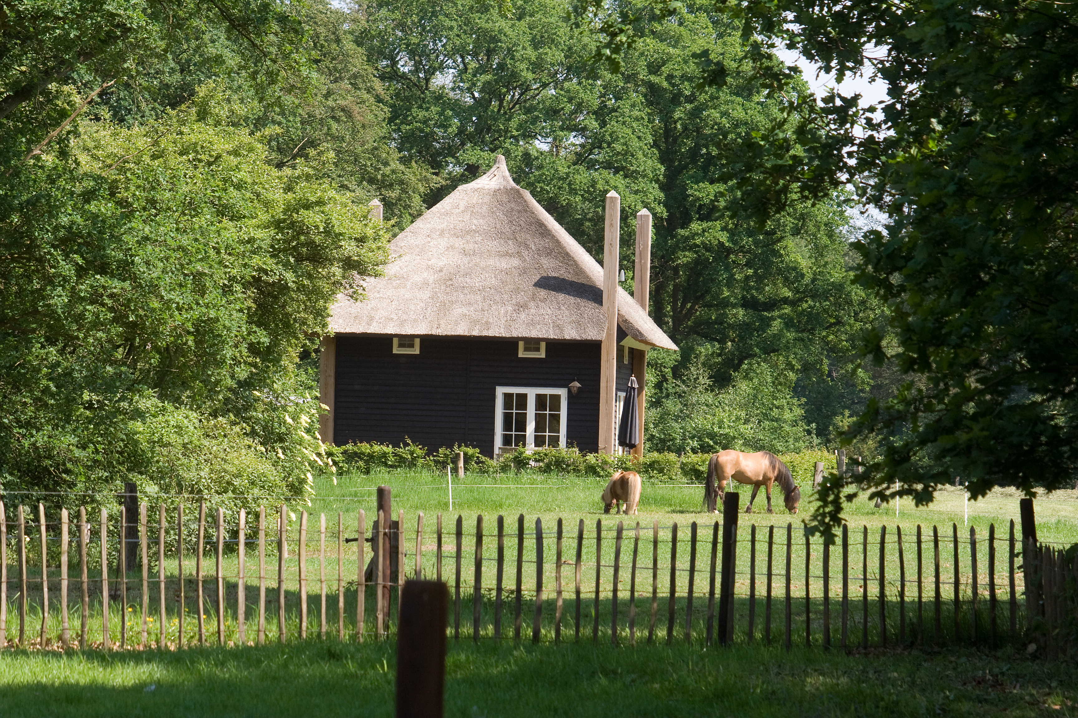 Maison nature à Notter