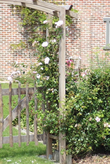 - image: 58