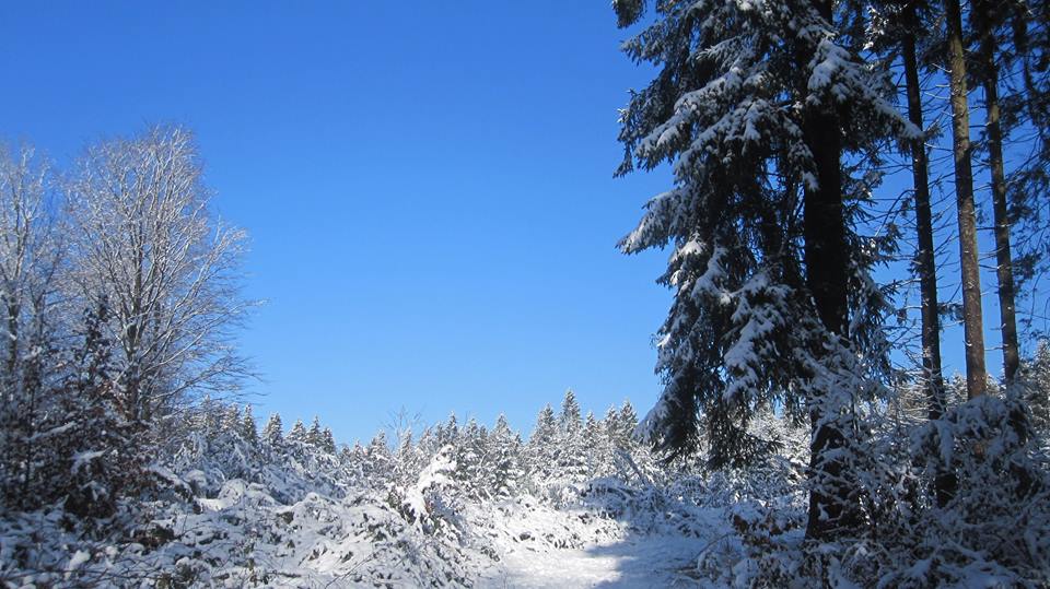 - image: 19