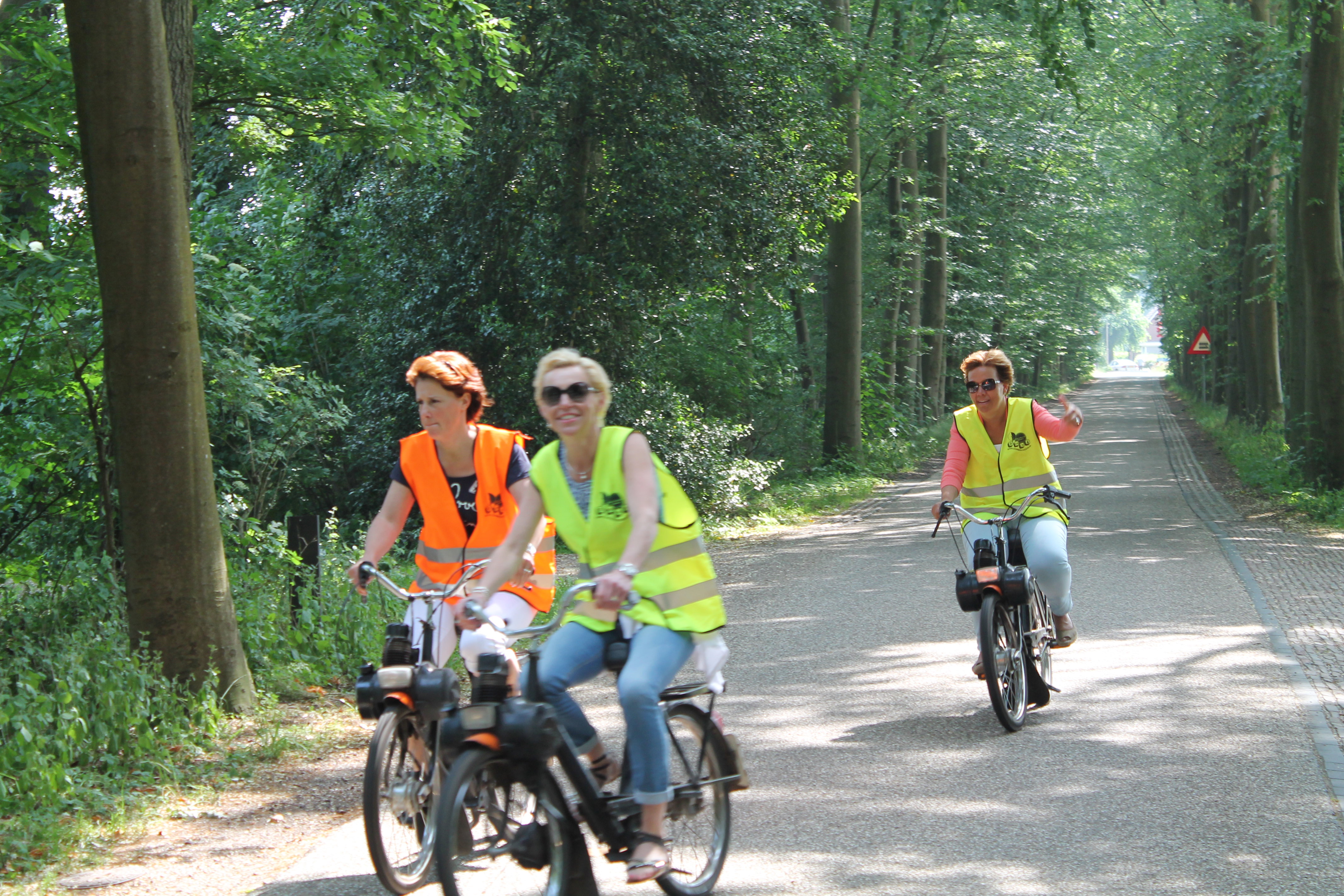 - image: 12