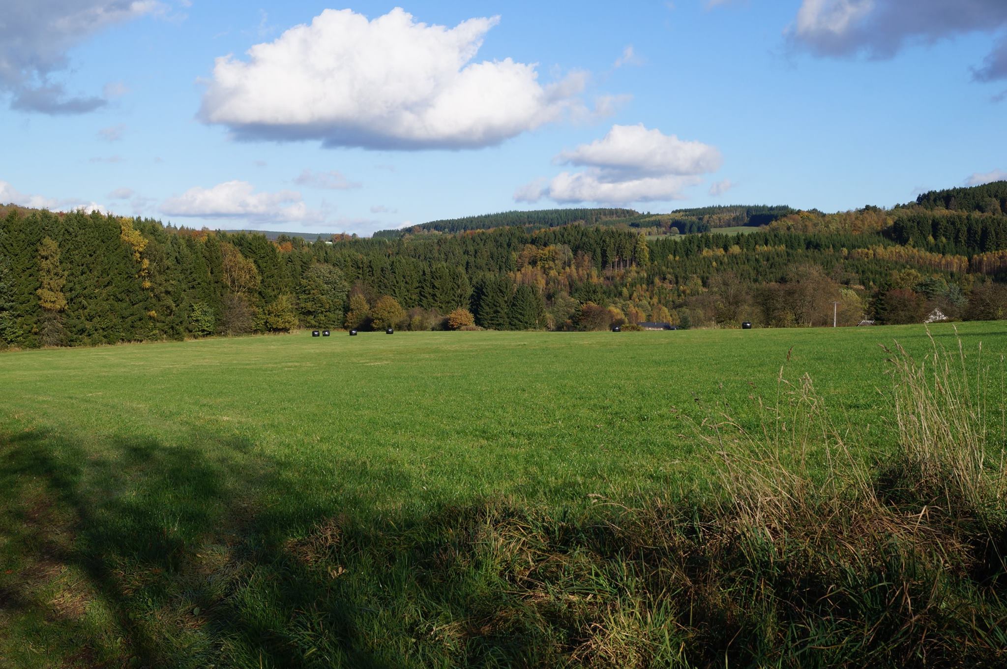 - image: 13
