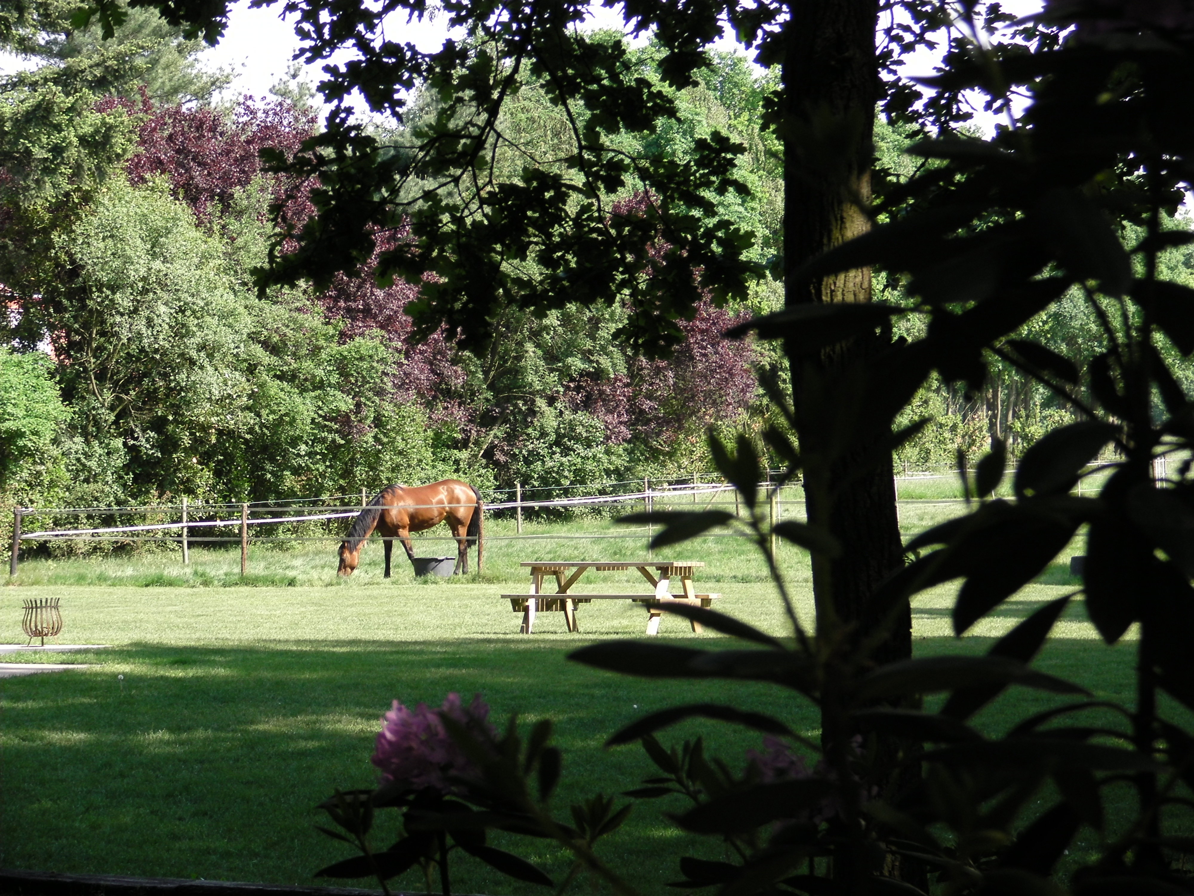 Naturhäuschen in Luyksgestel