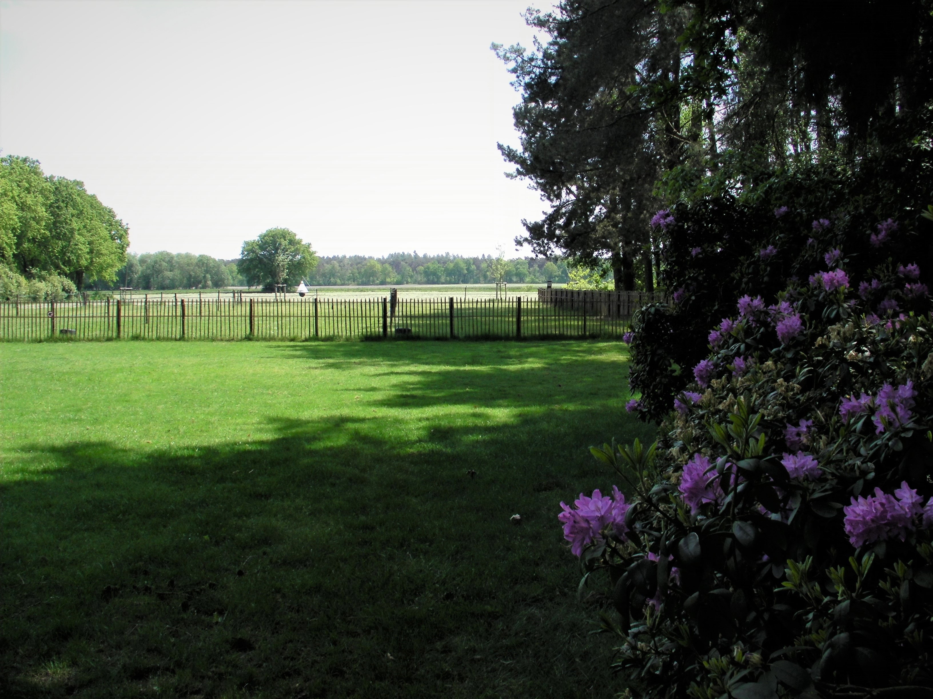 Maison nature à Luyksgestel
