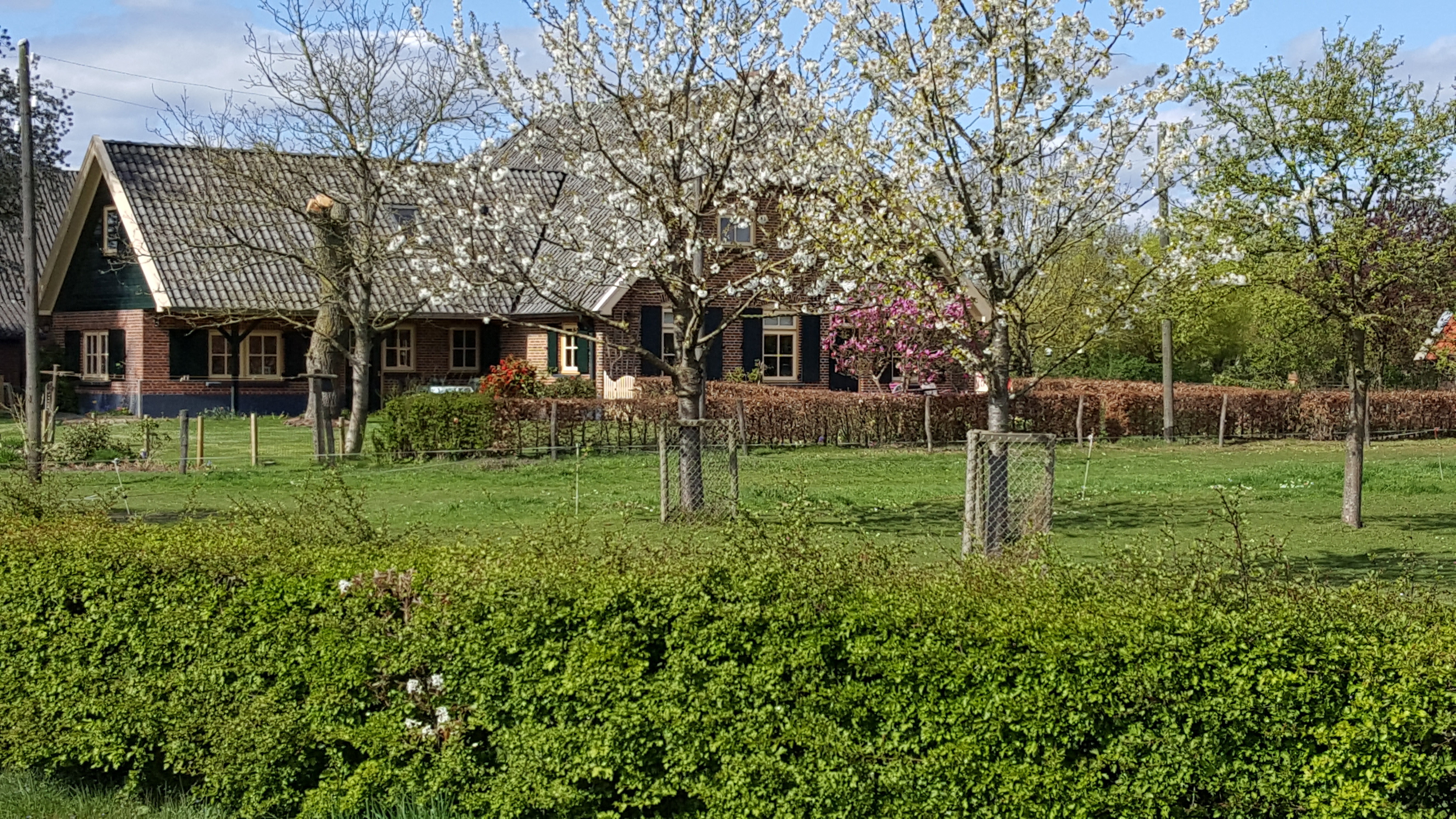 Maison nature à Westendorp