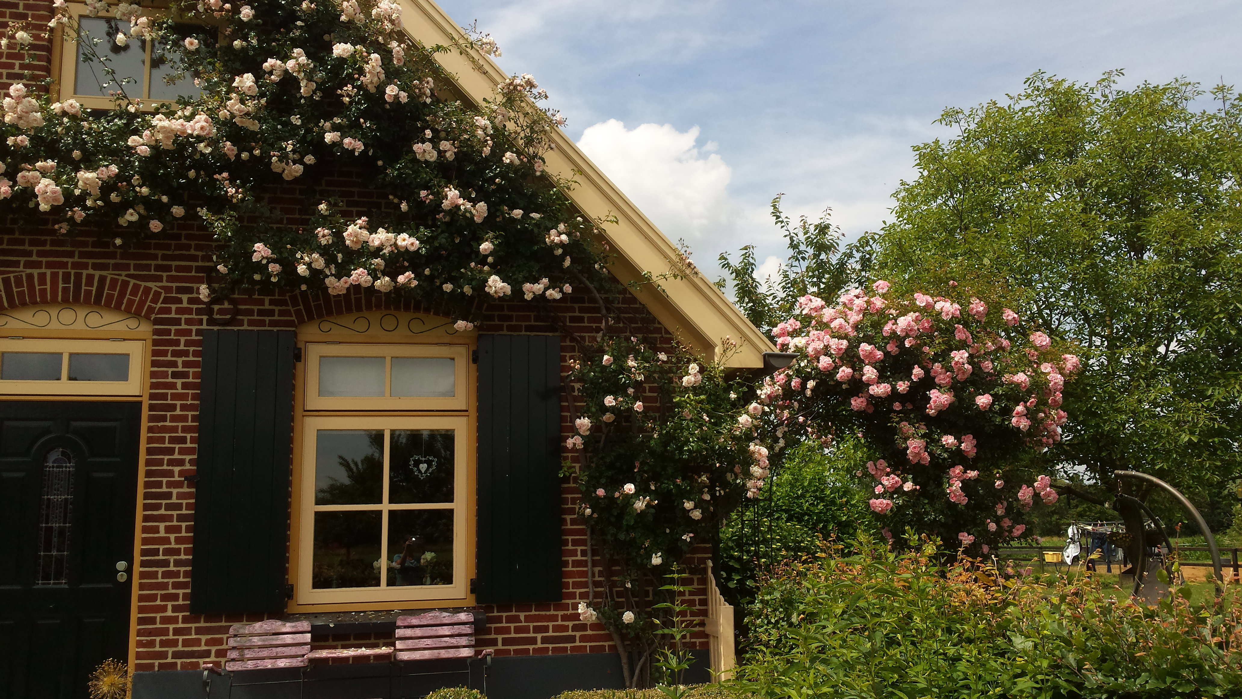 Maison nature à Westendorp