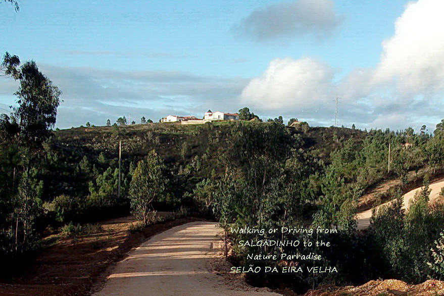 - image: 74