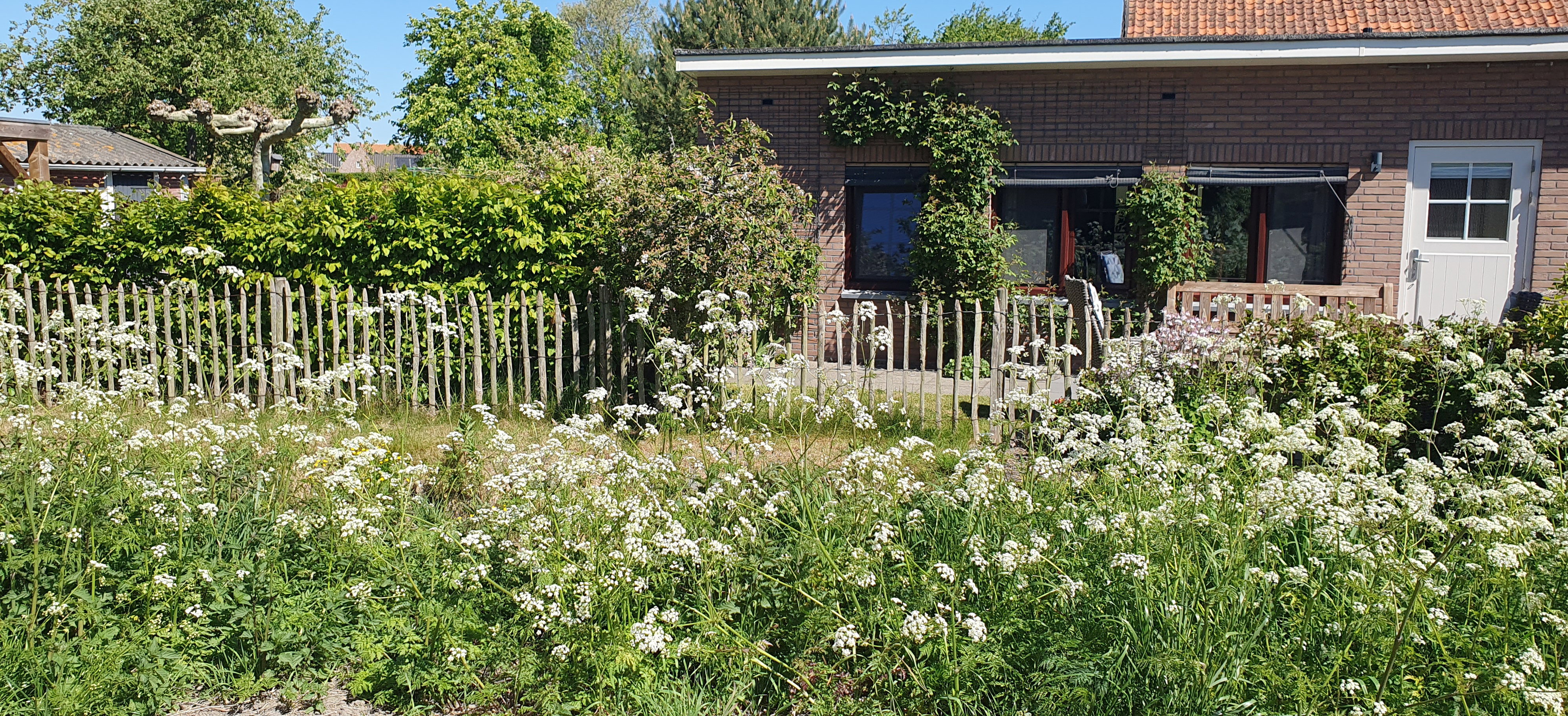 Natuurhuisje in Biggekerke