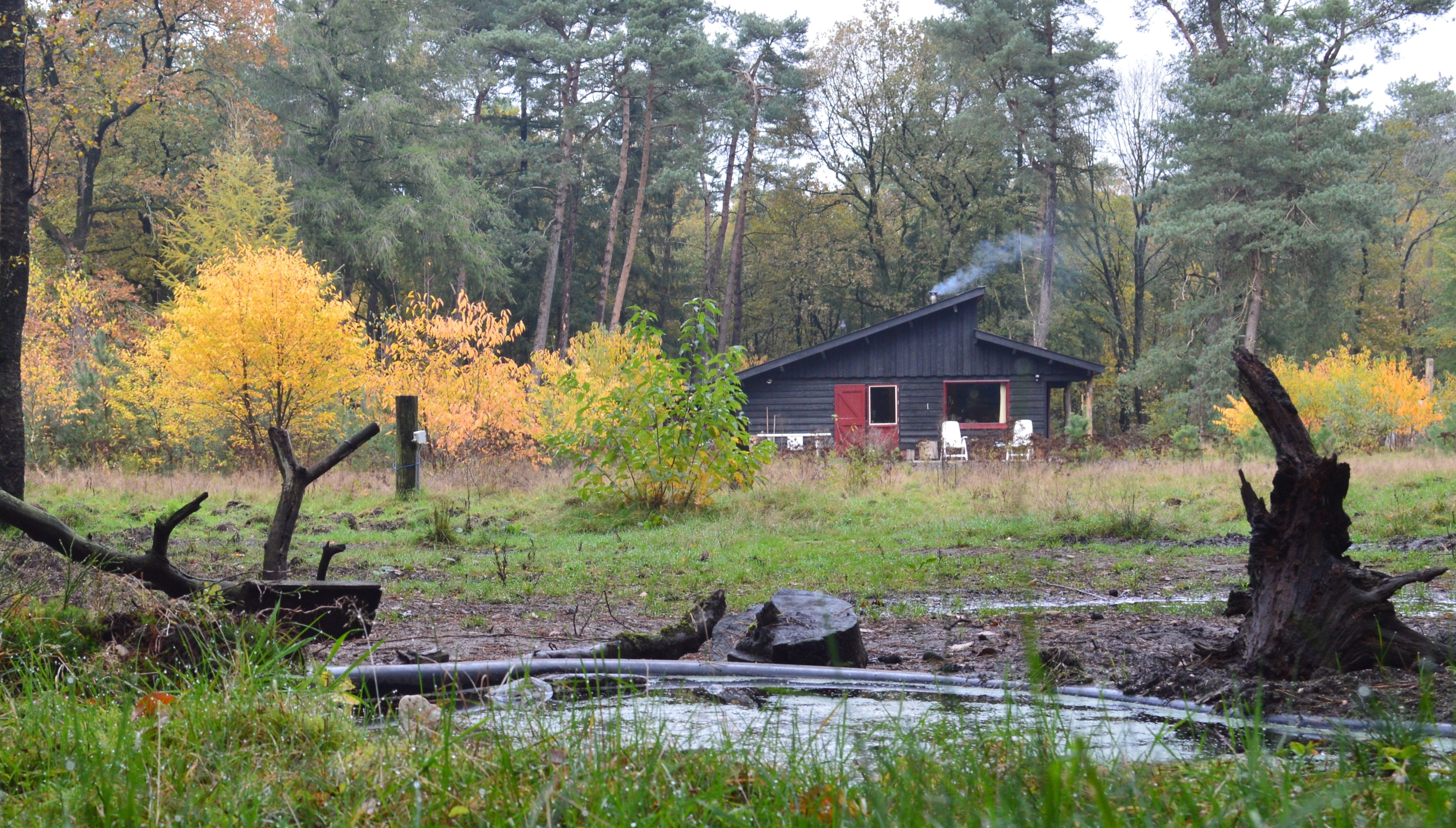 Maison nature à Putten