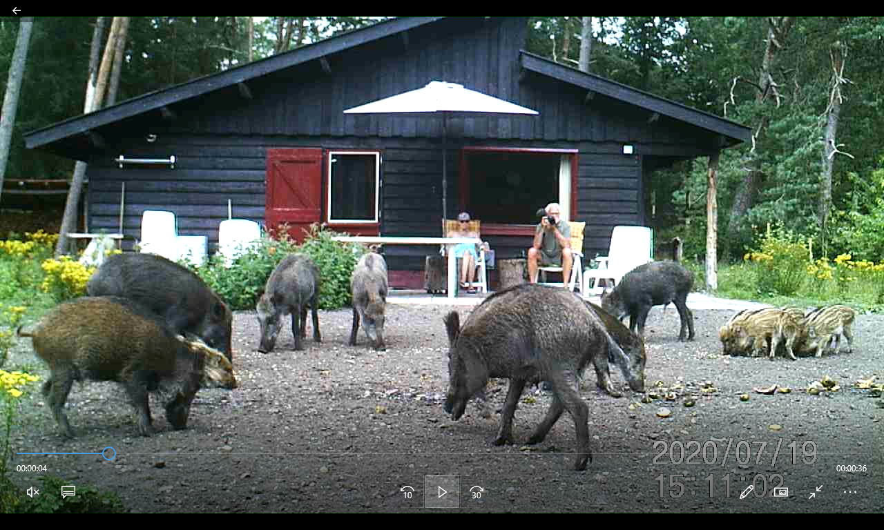 Natuurhuisje in Putten