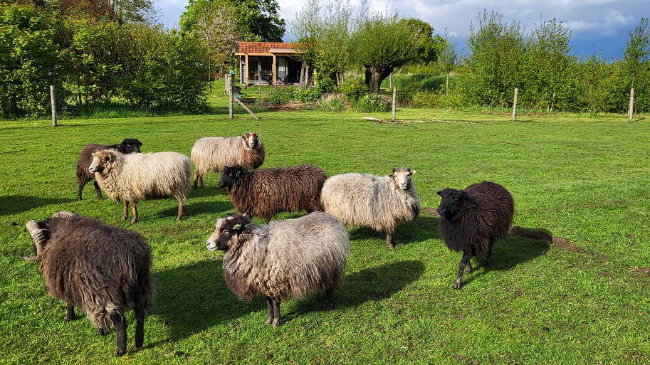 Naturhäuschen in Brummen