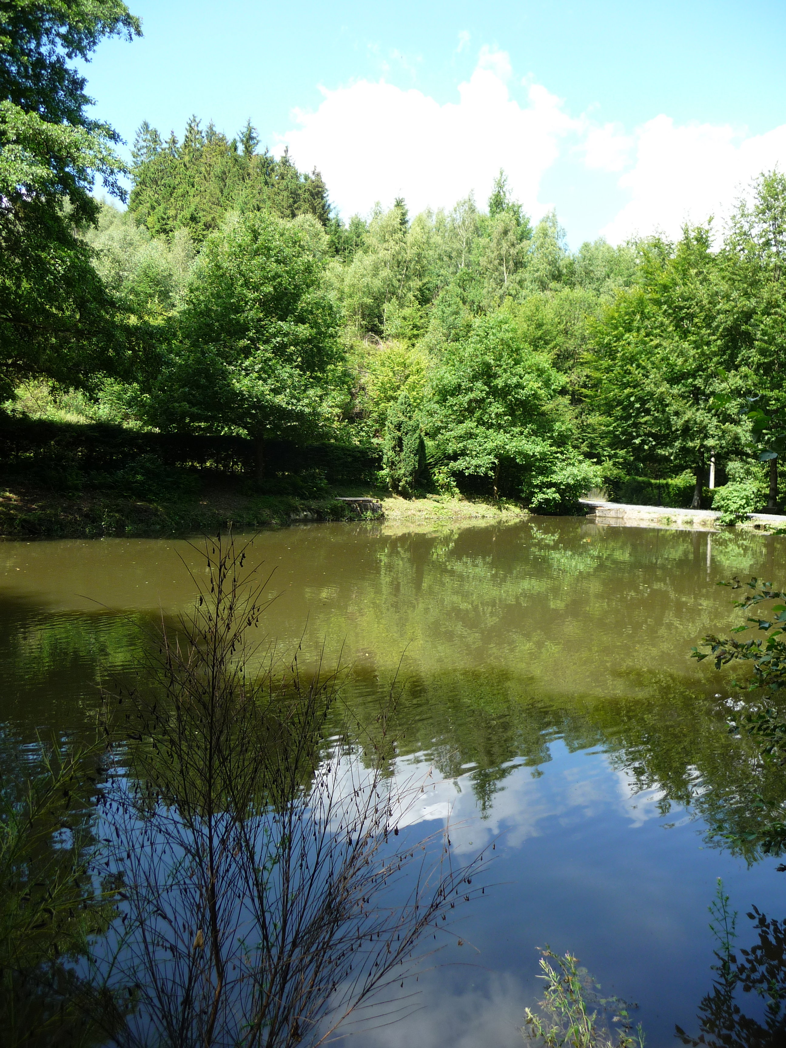 - image: 26