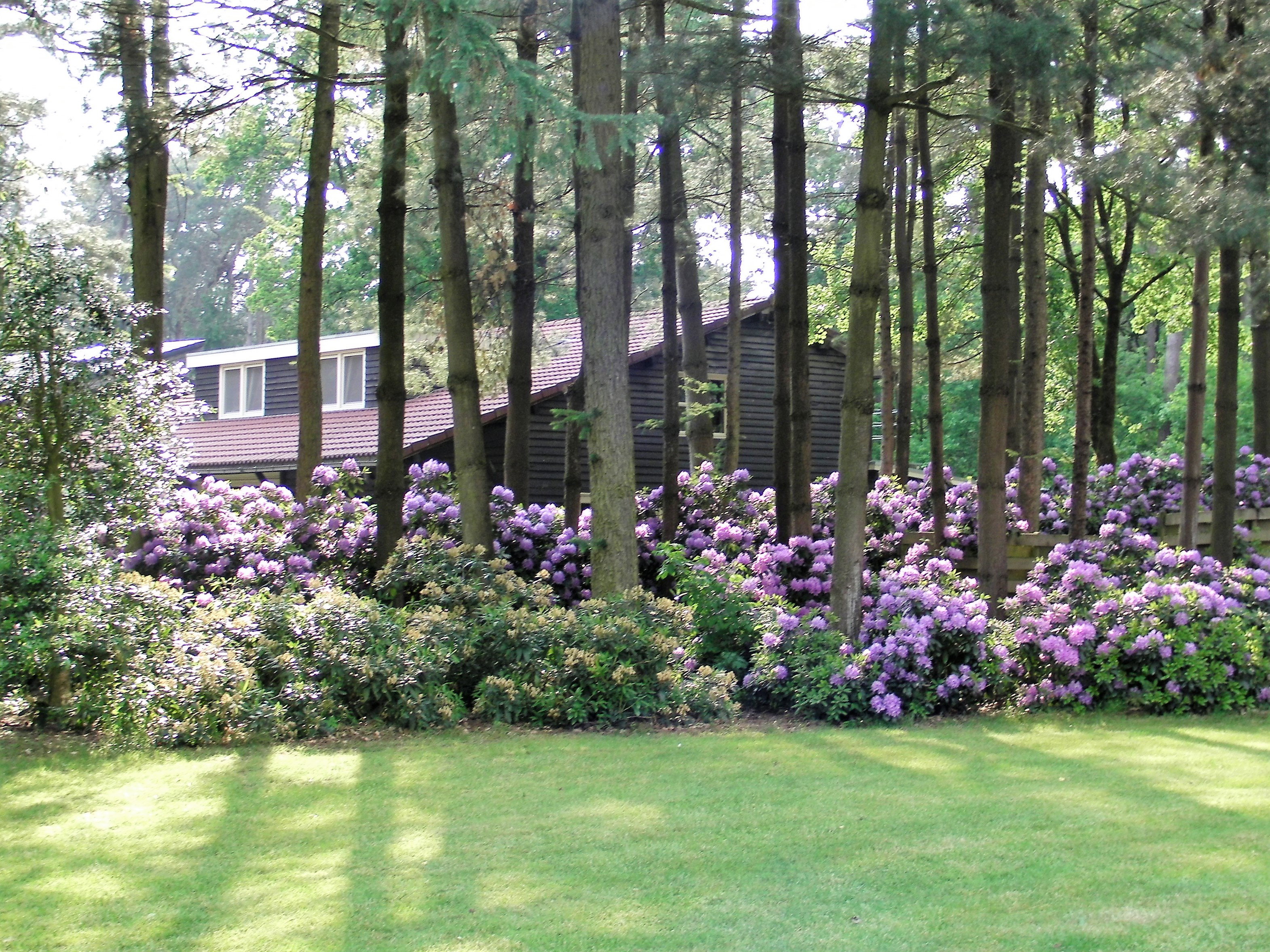 Maison nature à Luyksgestel