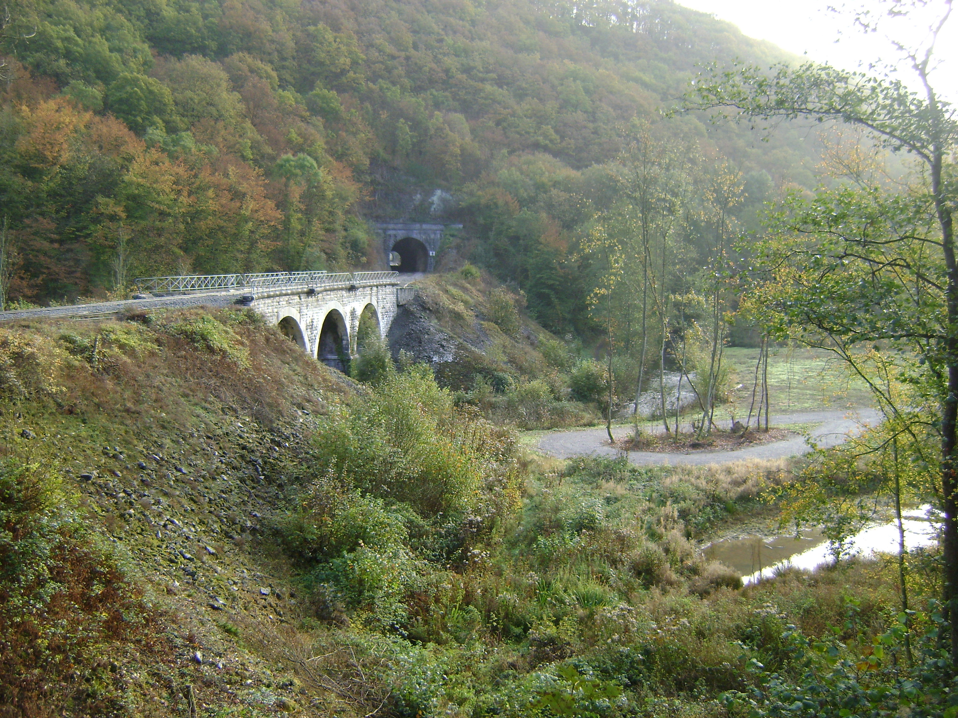 - image: 17
