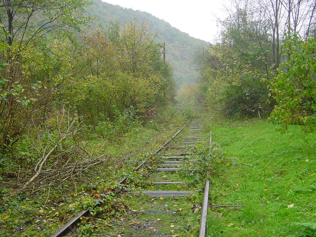 - image: 14