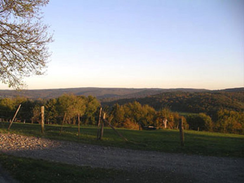 - image: 21