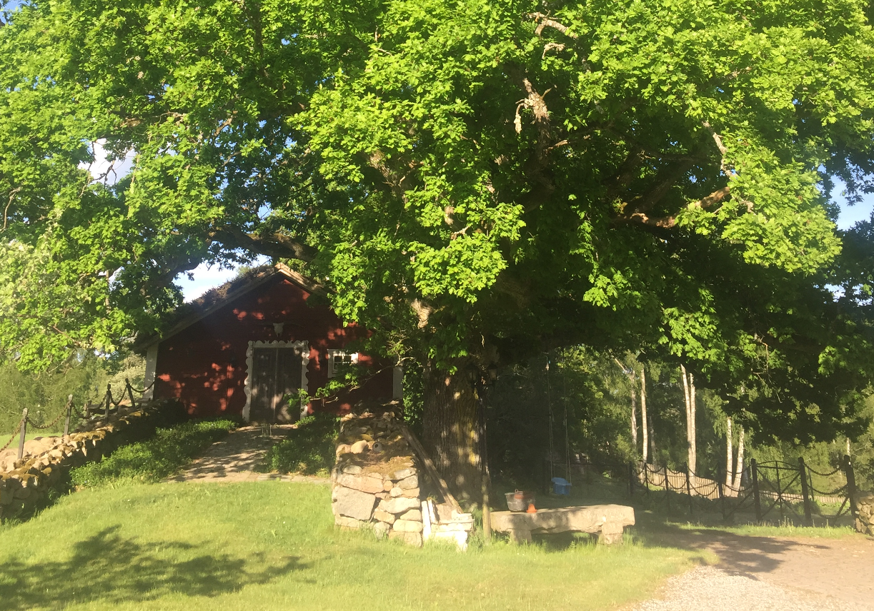 Natuurhuisje in tingsryd