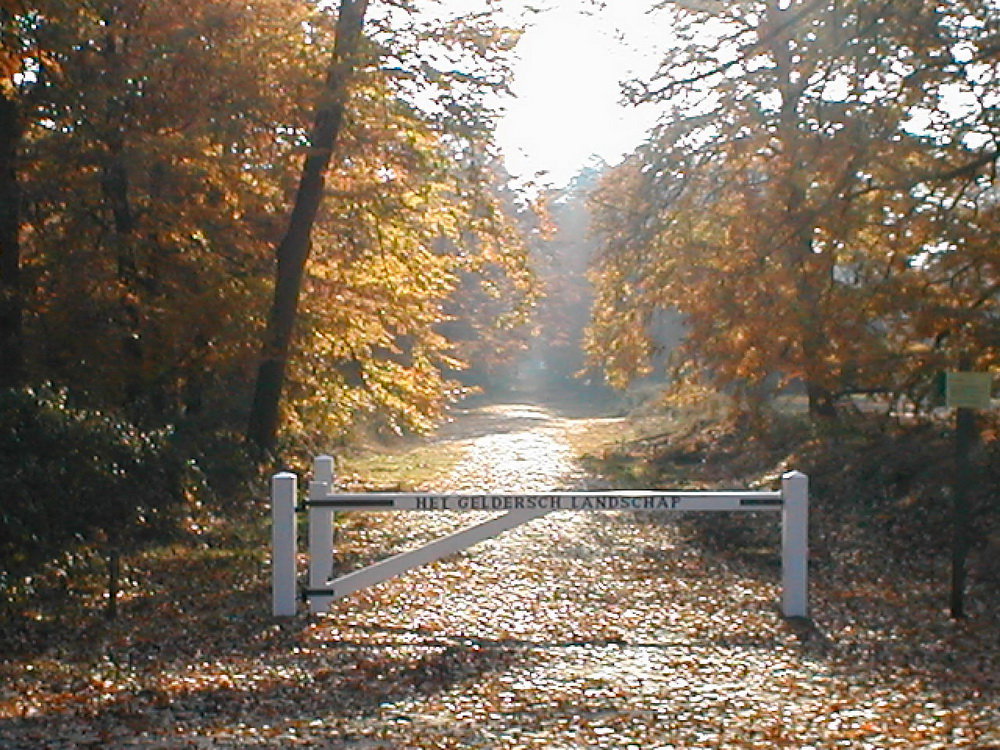 - image: 20